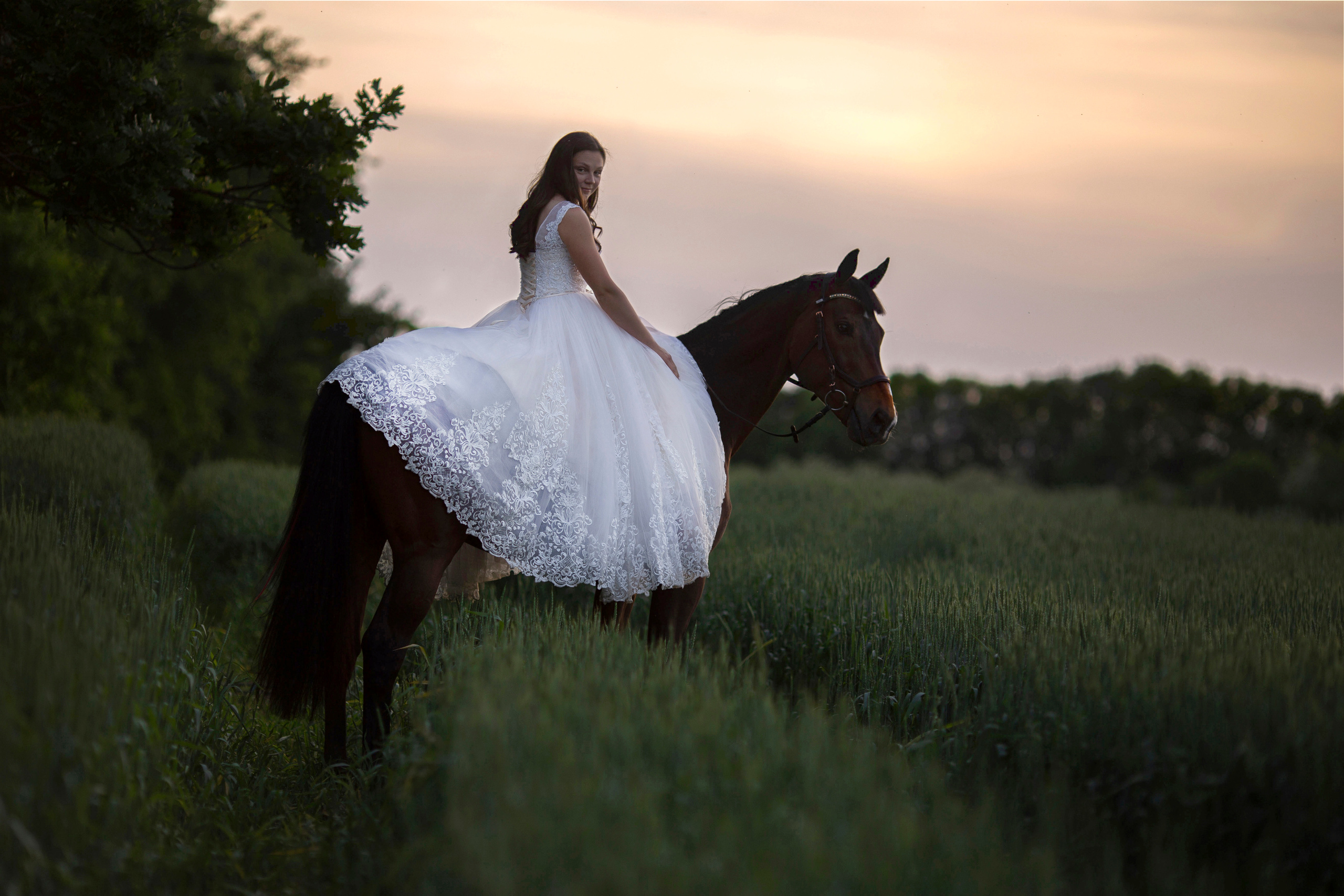 фотосессия с лошадьми