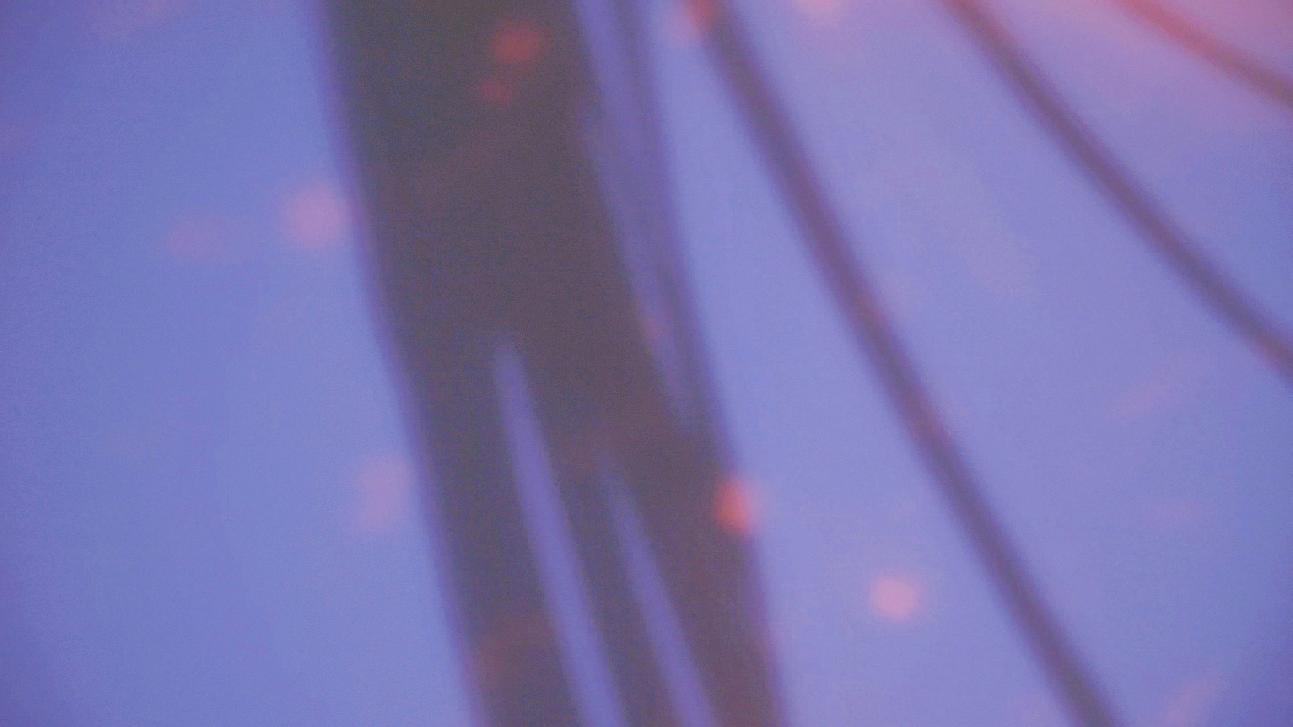 Insomnia. Eliza Ari | visual artist