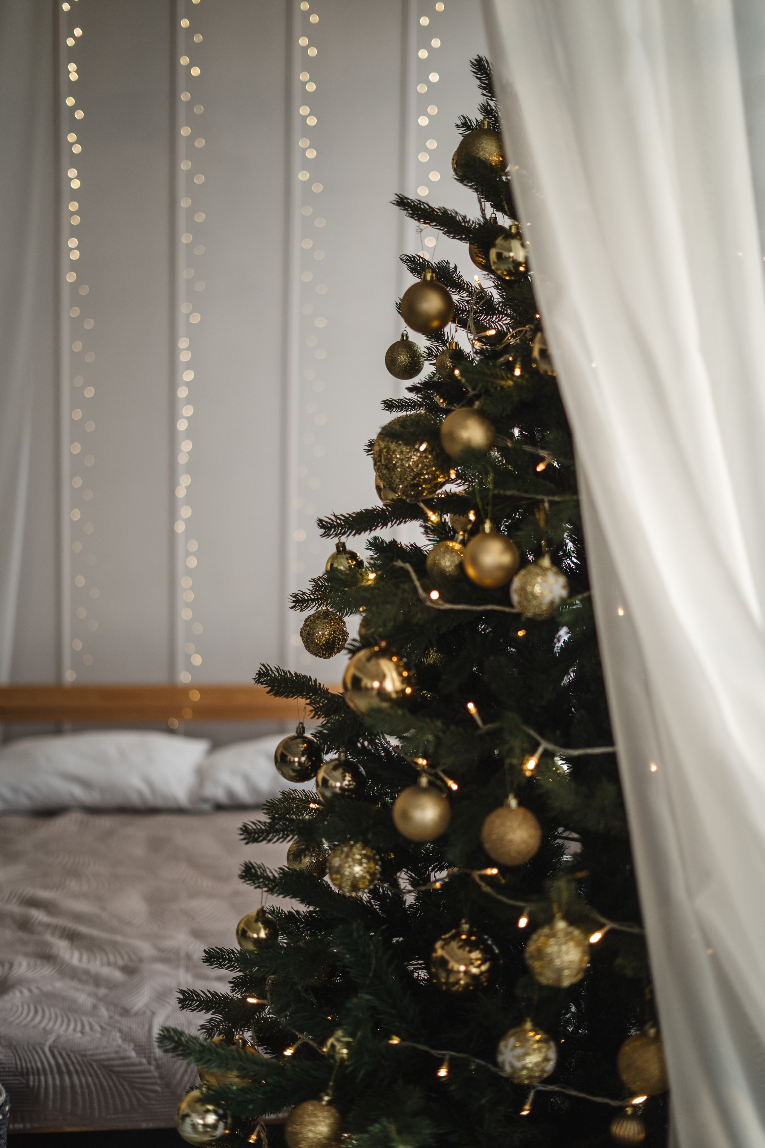 Фотостудия Импульс Новый год 2026 зал Life Лайф