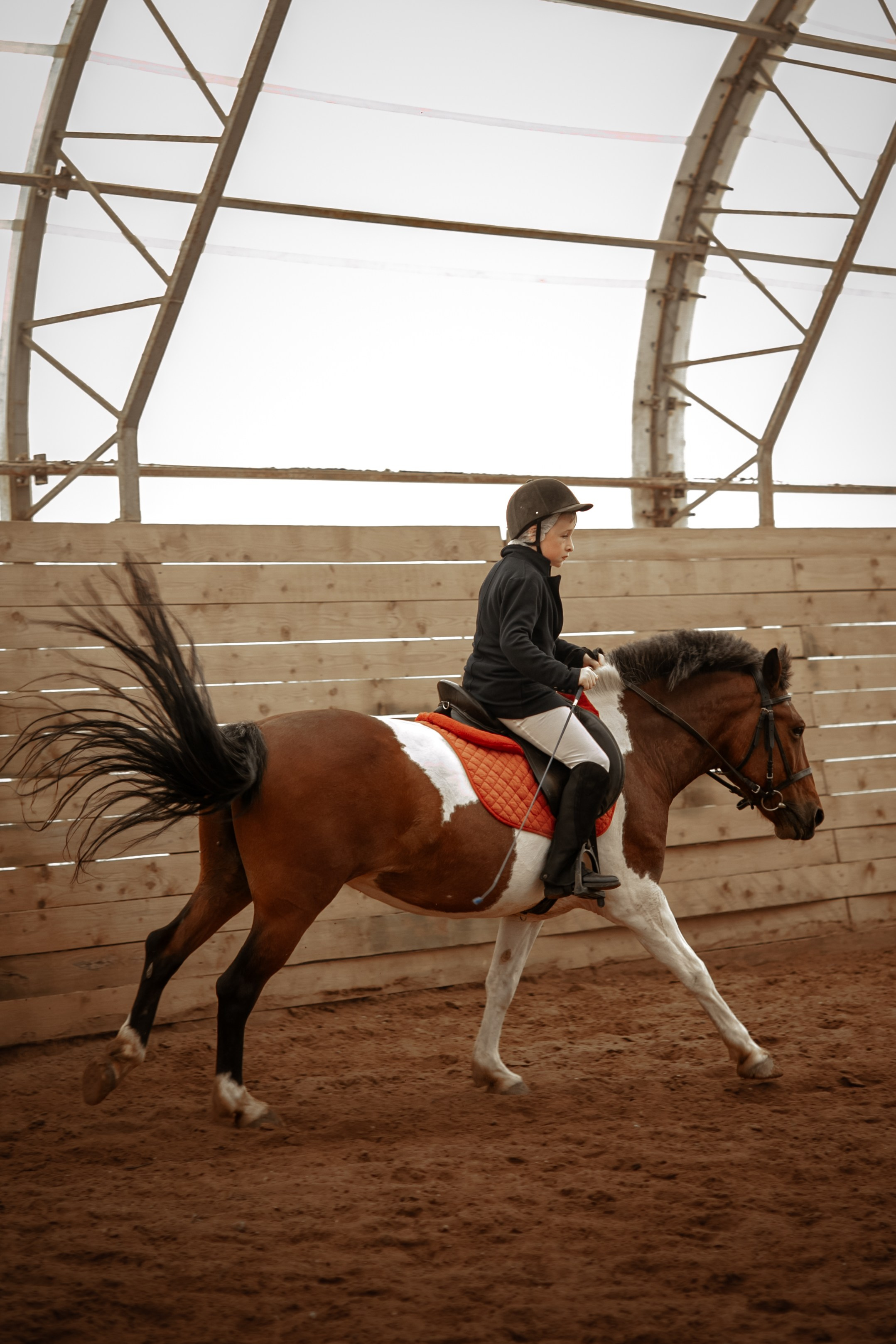 Костин двор. Фотограф Казначеева Юлия Иваново/Москва