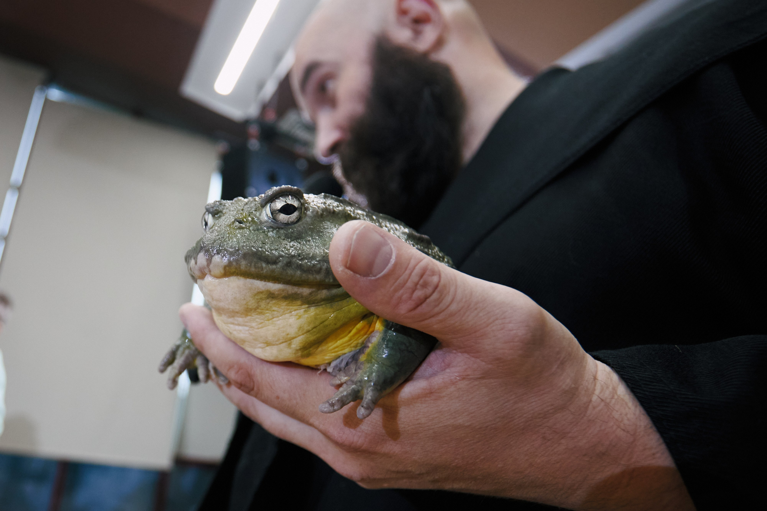 Play Party. Юрий Ахмедов