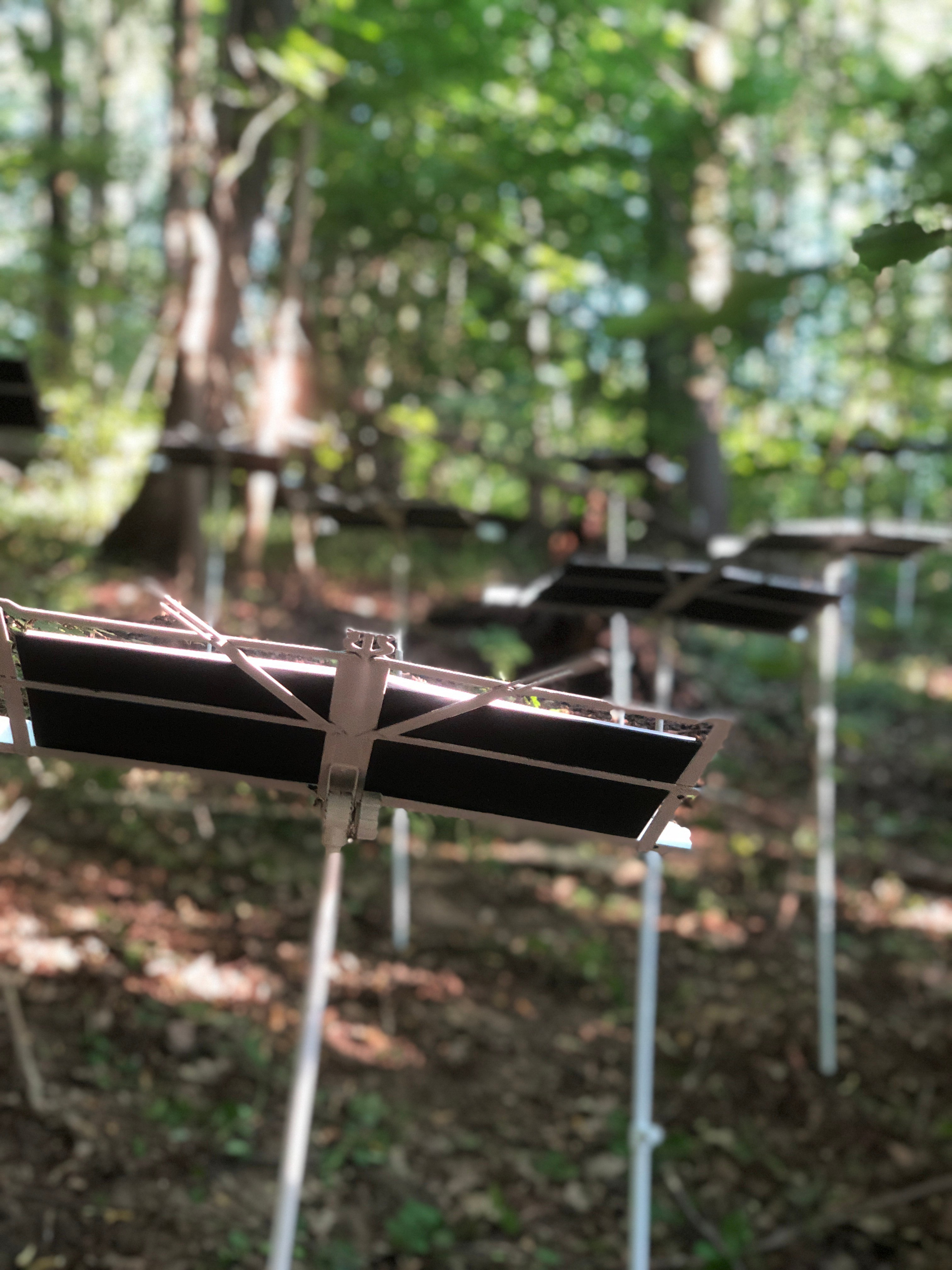 Паблик-арт. Современная художница Елена Алексеева (Alpha_Vita)