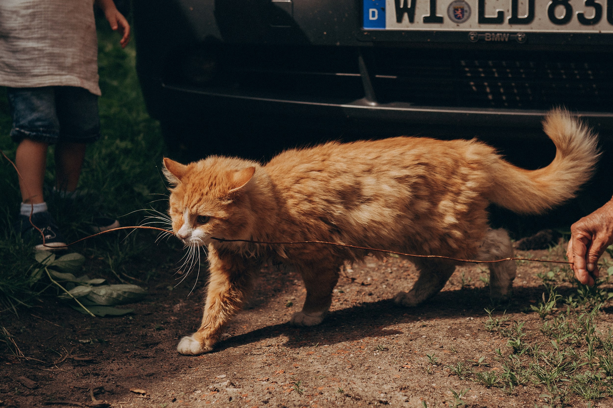 Поколения. Детский и семейный фотограф — Калининград — Юля Насифуллина