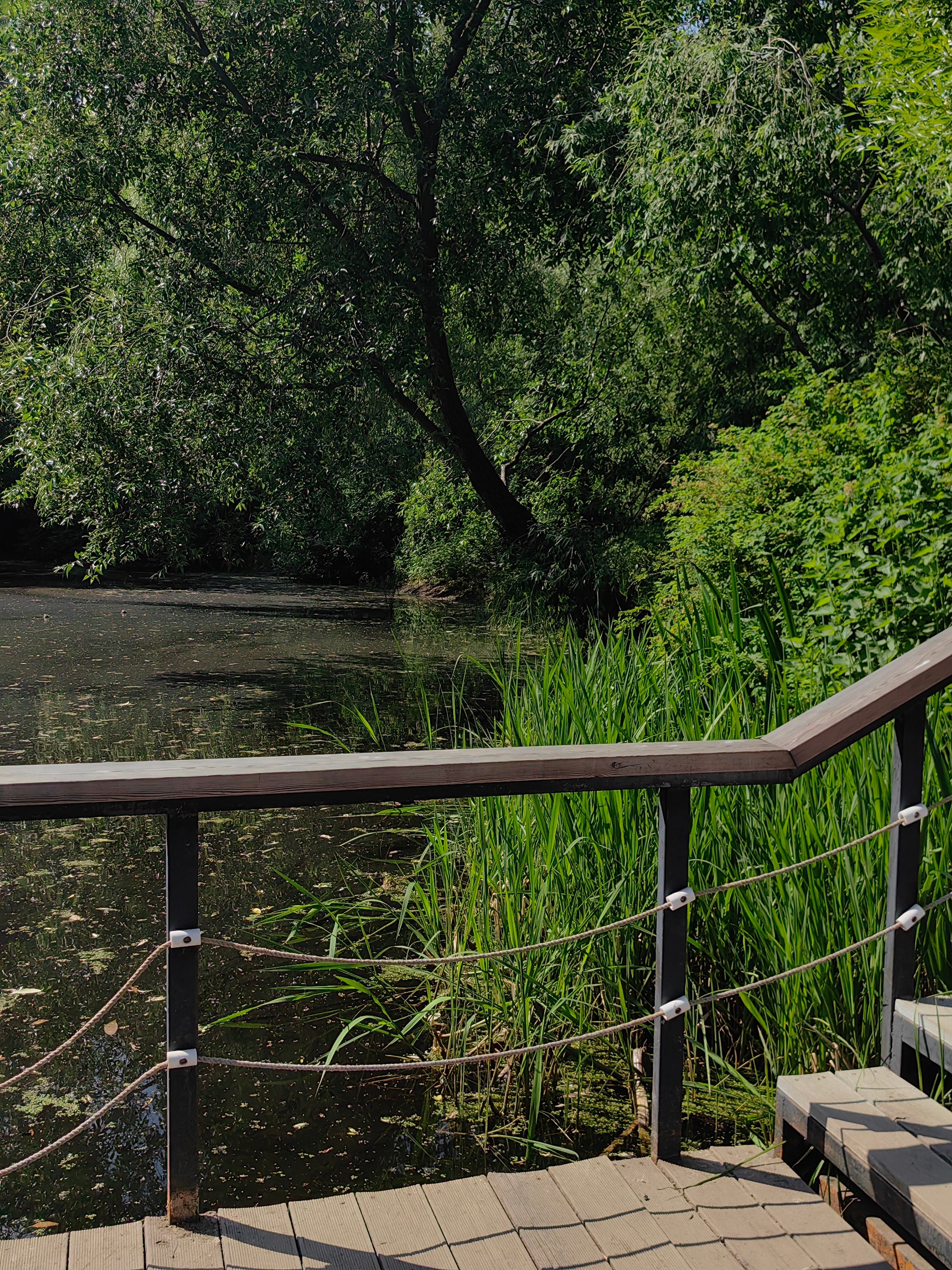 Парк АПТЕКАРСКИЙ ОГОРОД обзор. Фотограф в Москве и Московской области (Ю-В) Олеся Макарова