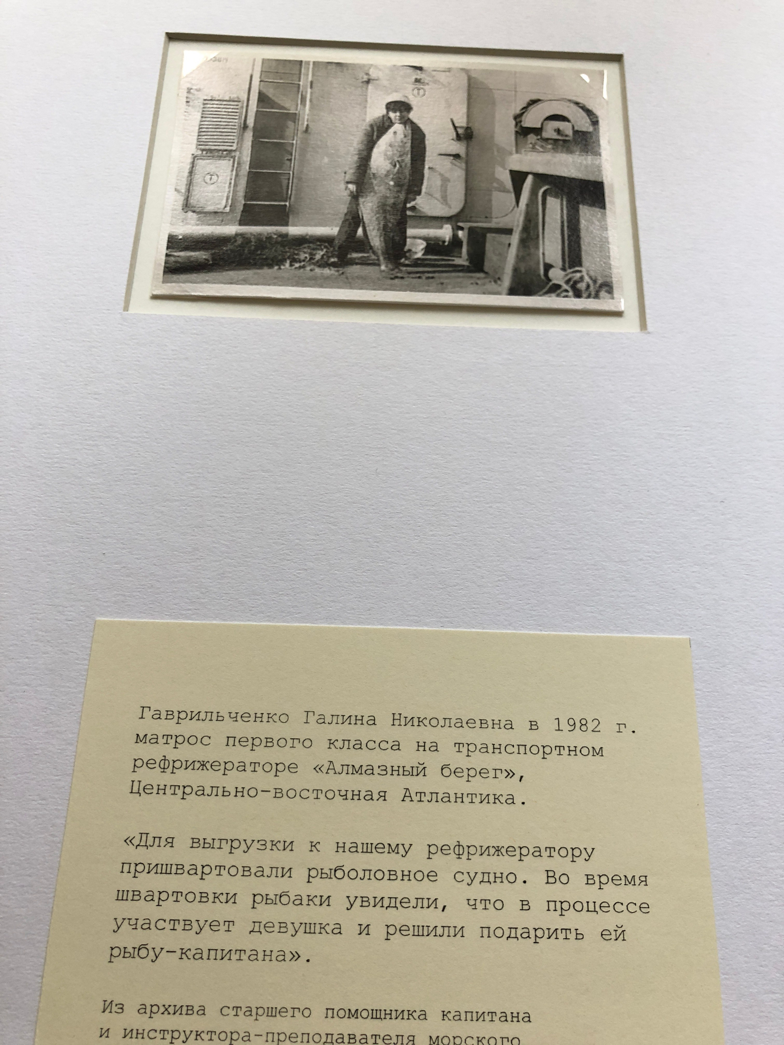 ◽ Соленый альбом. Елена Аносова — художница и исследовательница, куратор и лектор