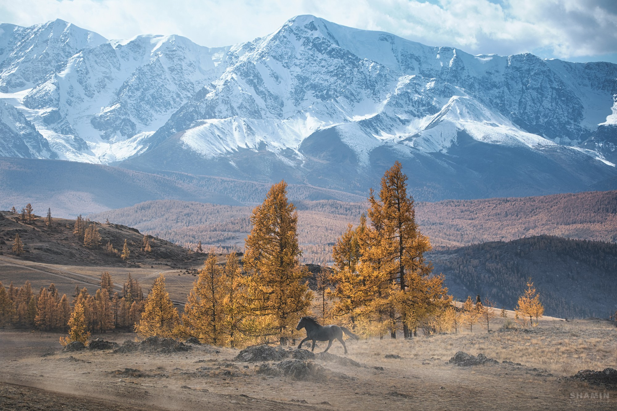 Проект 365. Фотограф Константин Шамин