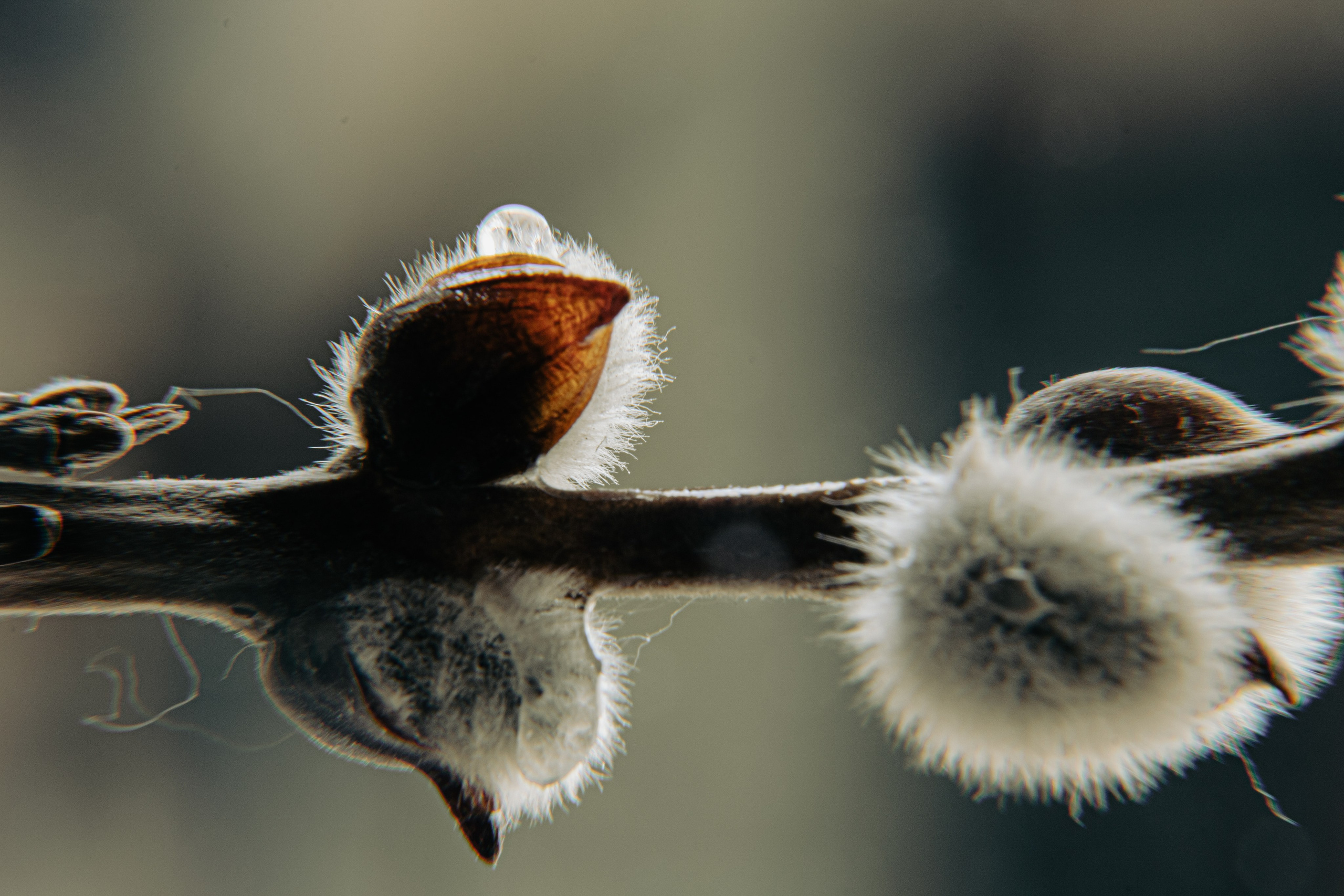 Подберу кадр под ваш интерьер и настроение. Фотограф Кирилл Мешков Кемерово