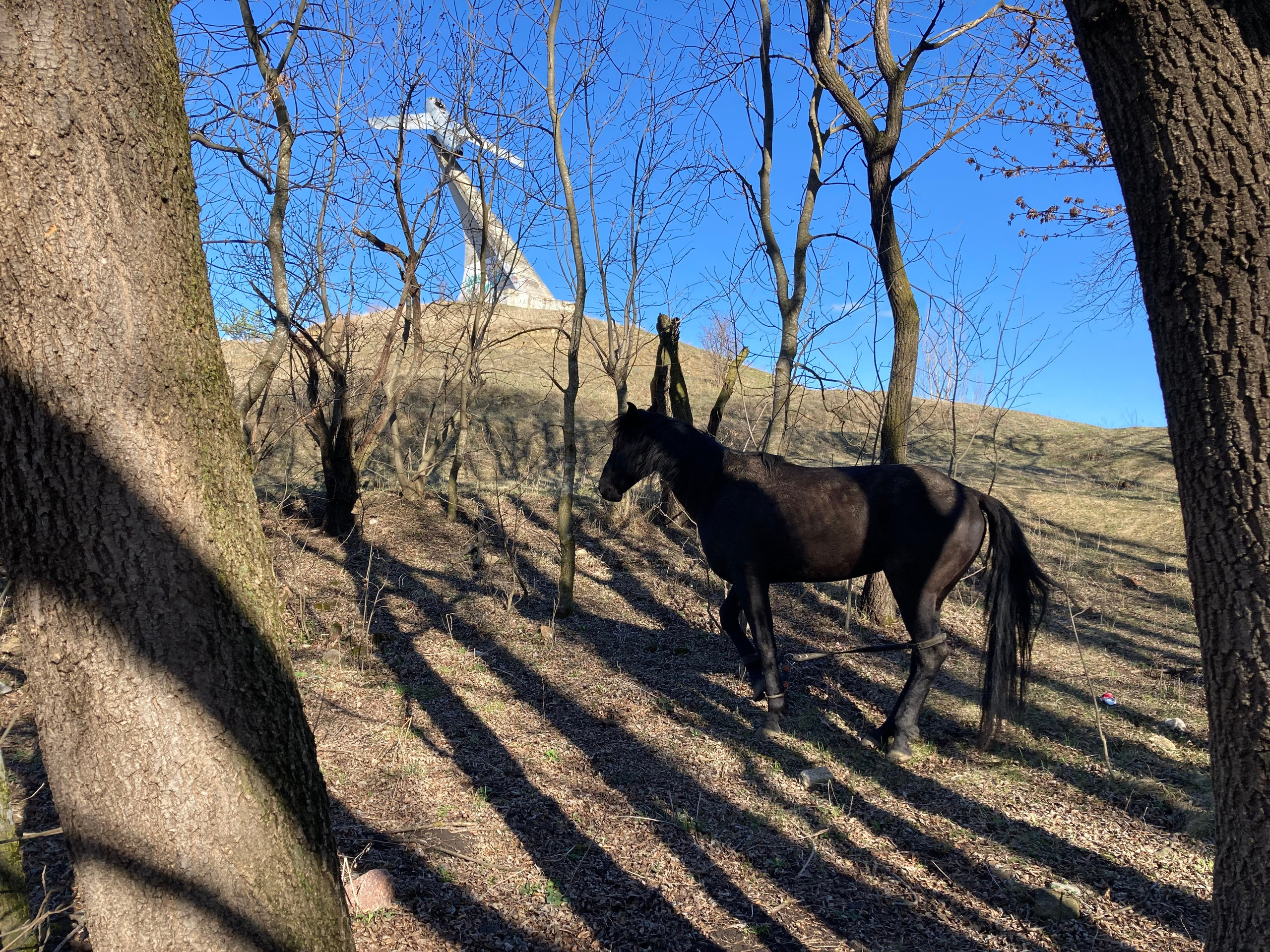 Кисловодск. Смотри, красота!