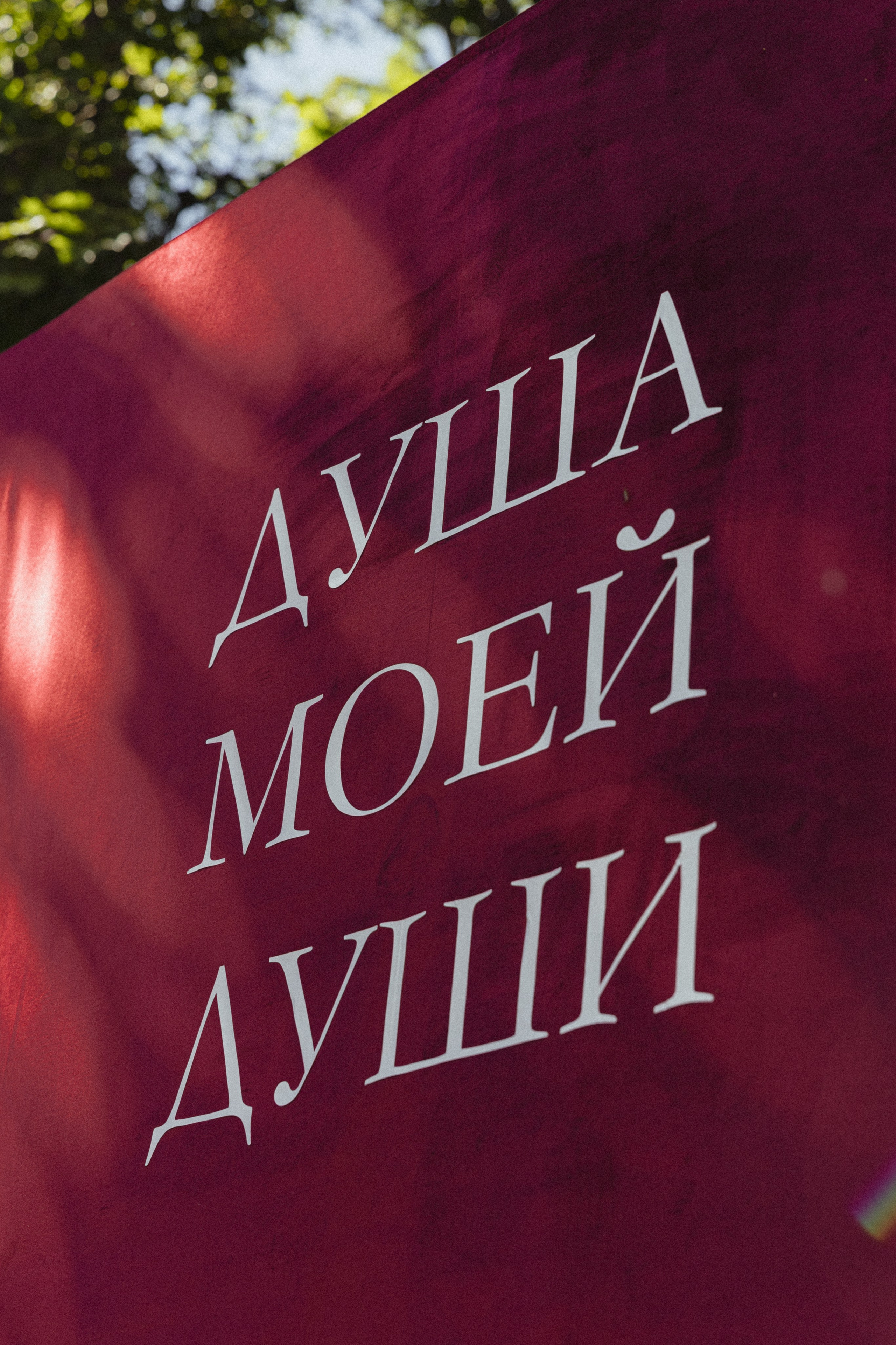 20.06.2026. Свадебный фотограф в Санкт-Петербурге Баженова Алина
