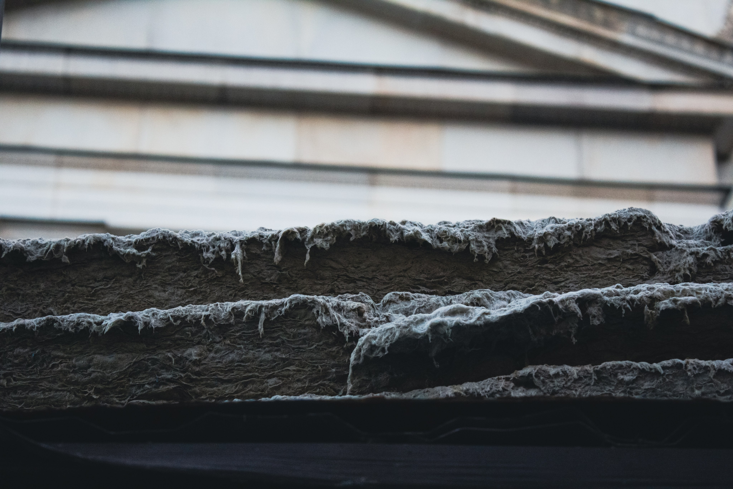 Прогулка за фото. Фотограф Москва, портрет, стрит, репортаж. Художественная фотосессия