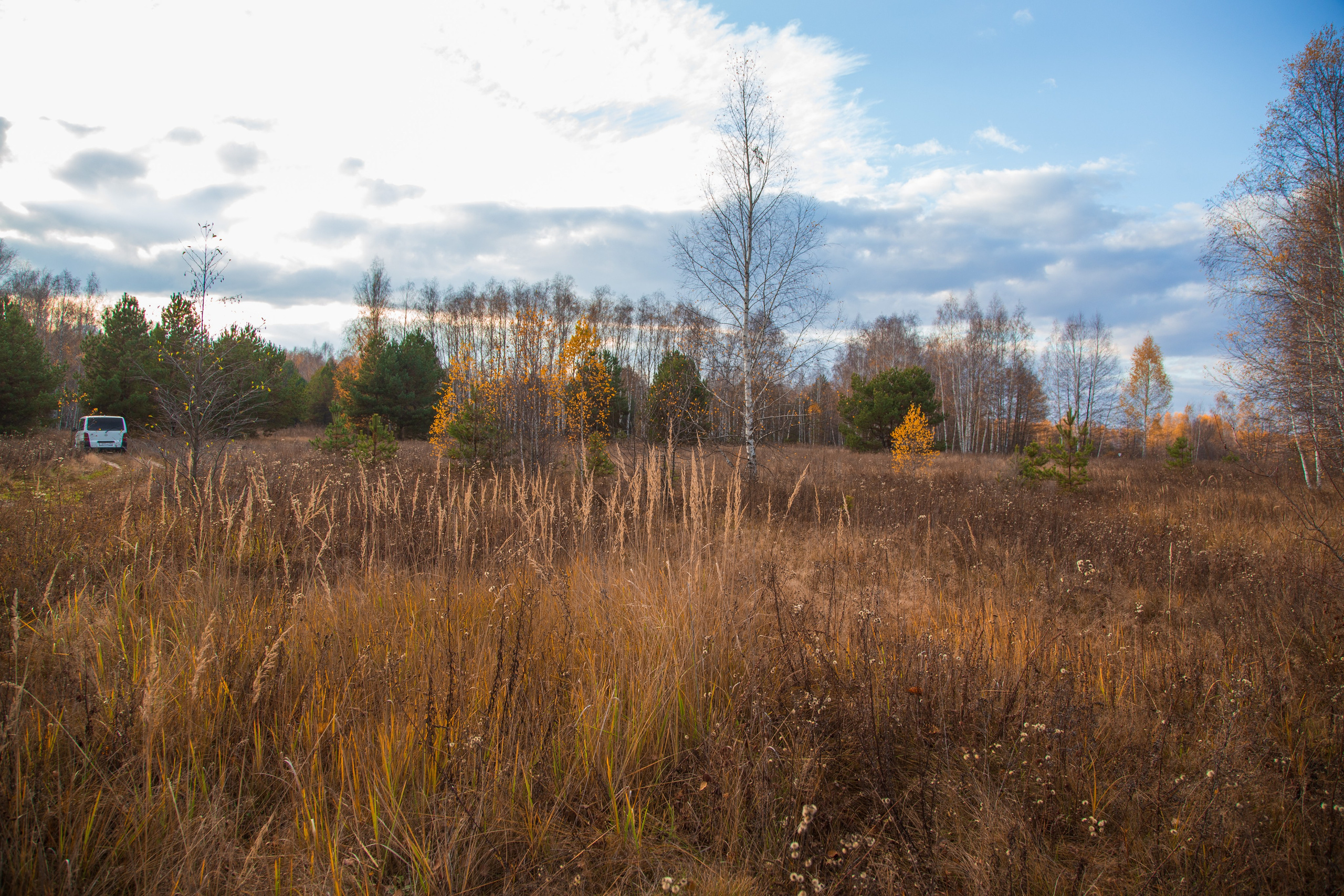 ТВОРЧЕСТВО. Творческая студия АЛНИфото