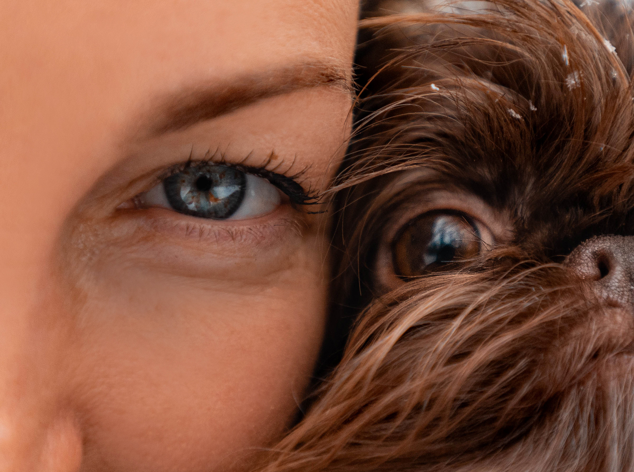 Шоколодная Чока и Оксана. Фотограф — анималист Саратов/Москва|Плужникова Юлия