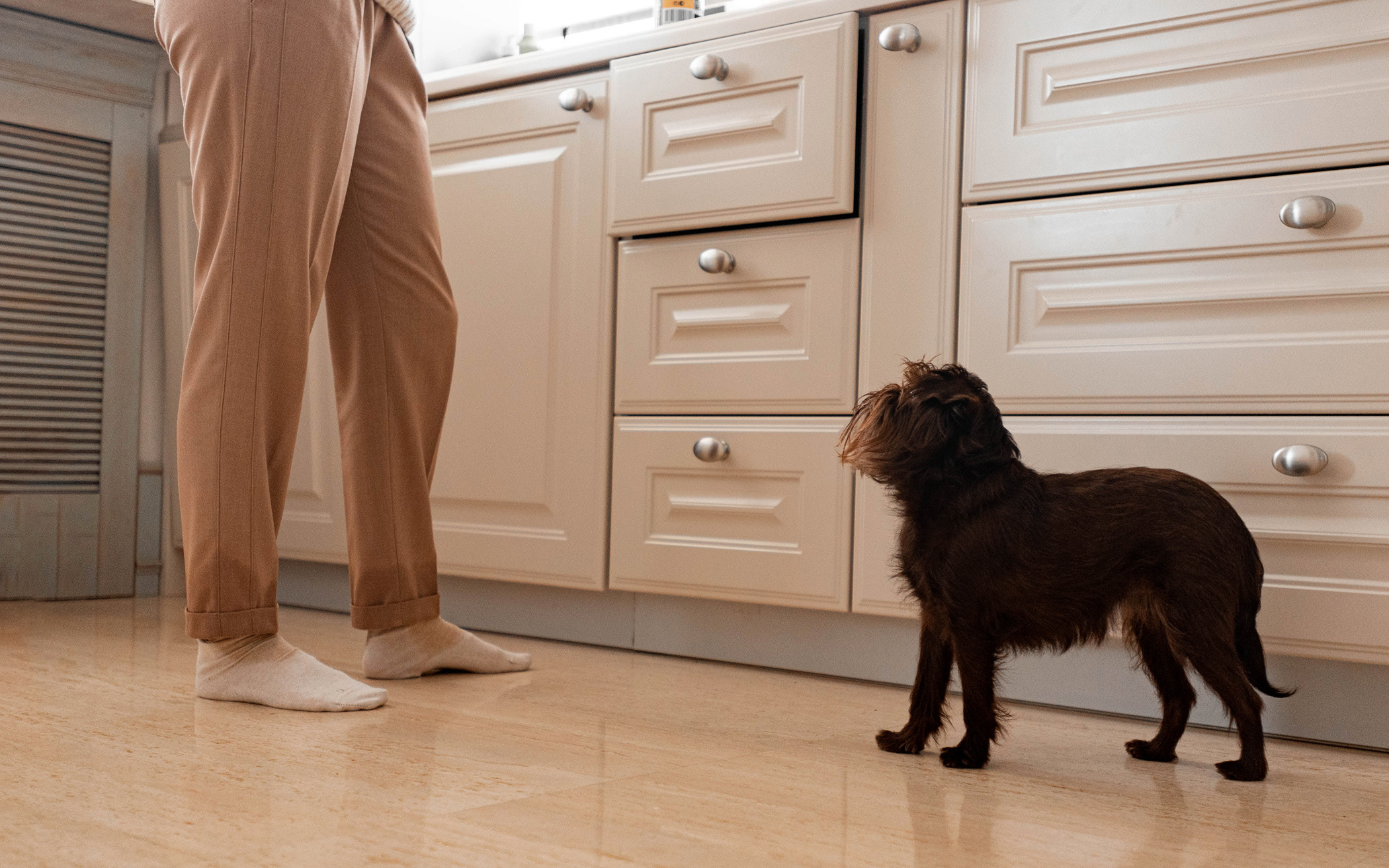 Шоколодная Чока и Оксана. Фотограф — анималист Саратов/Москва|Плужникова Юлия