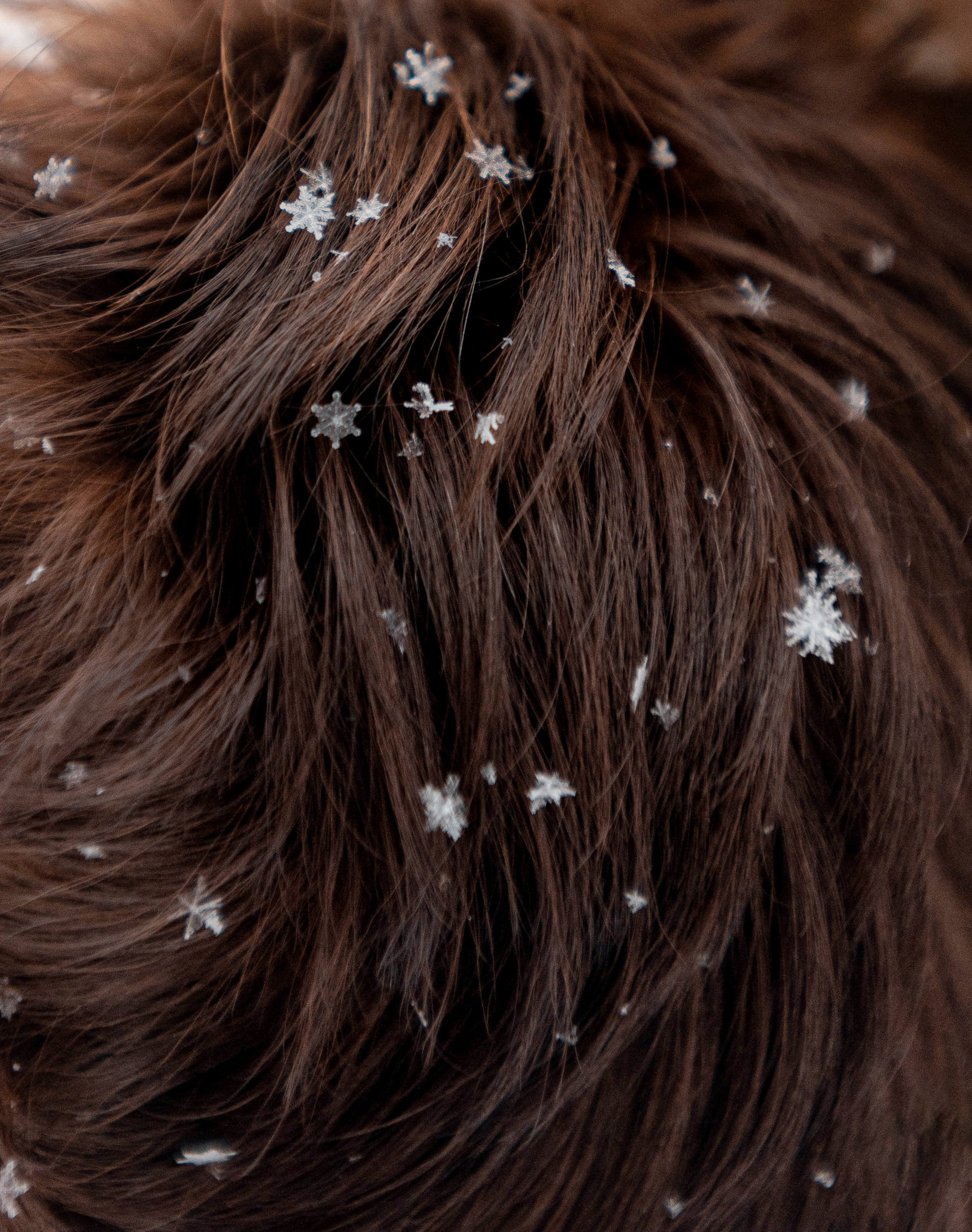 Шоколодная Чока и Оксана. Фотограф — анималист Саратов/Москва|Плужникова Юлия