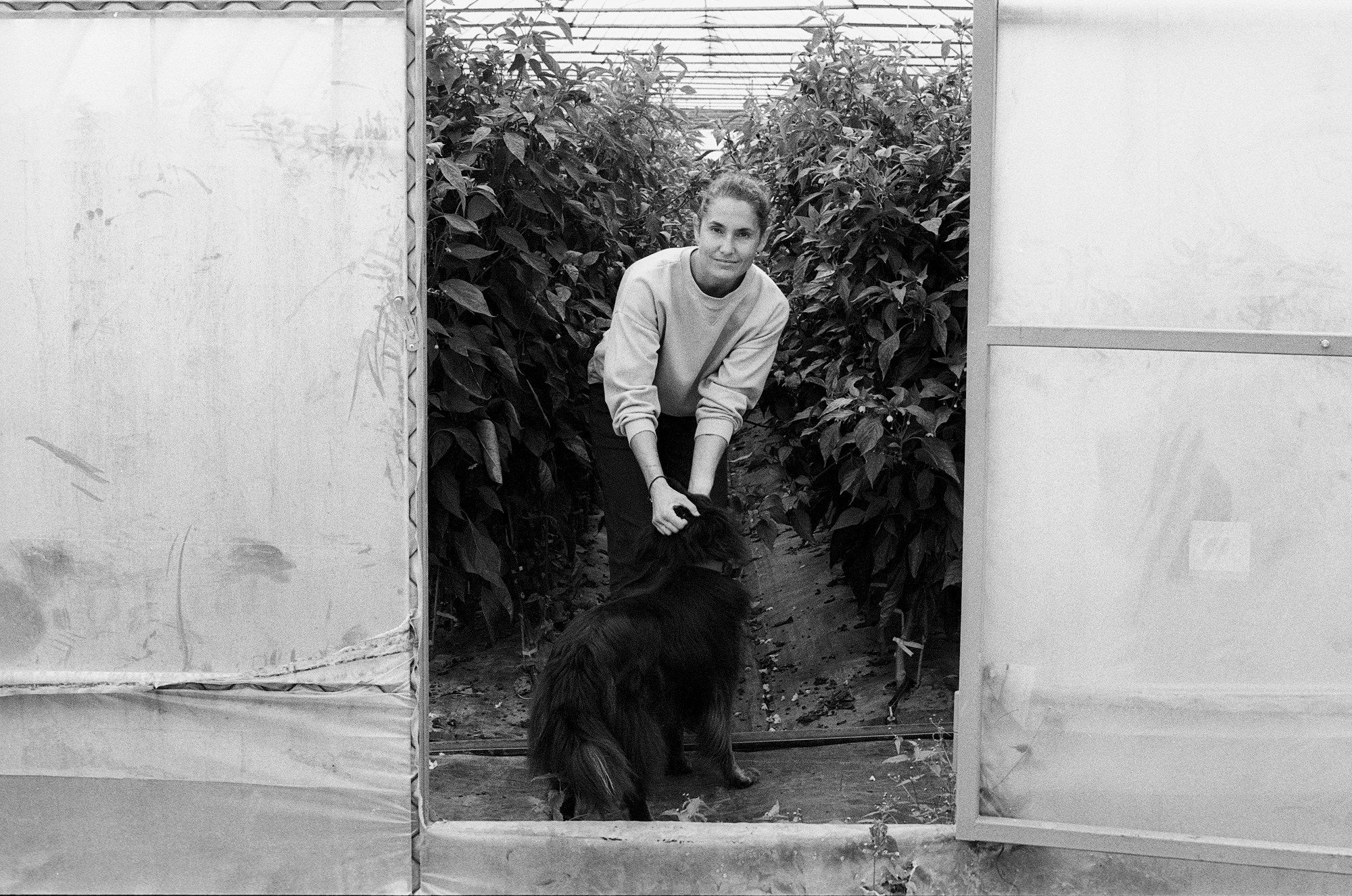 SuperFoodFarm. The history of the farm. Another person Pavel Potseluev. A photographer in 2025