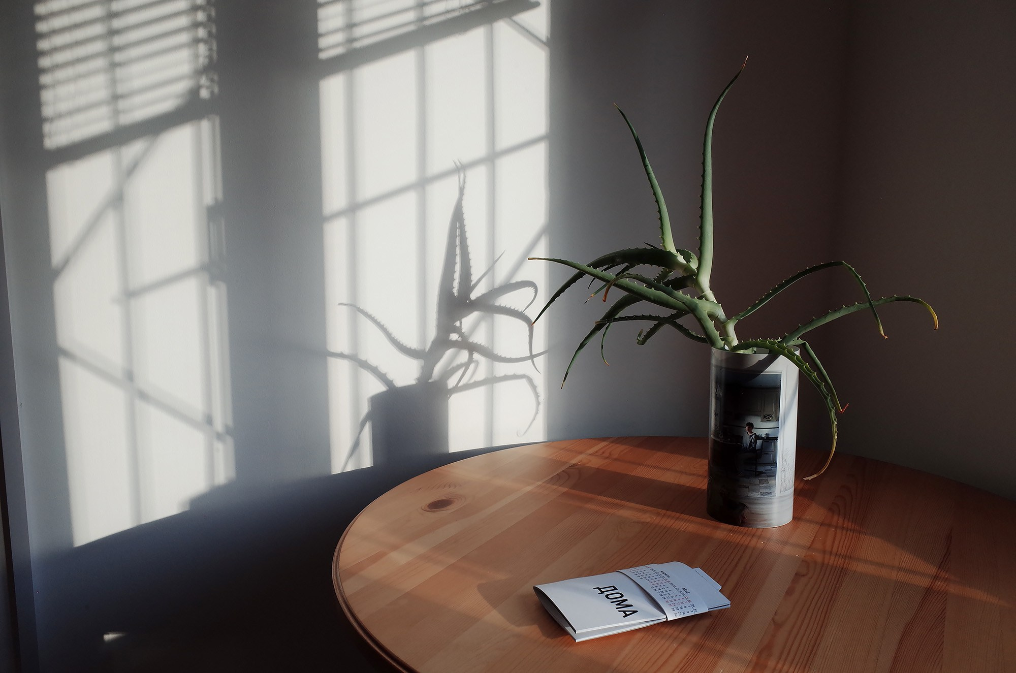 Не дома. Заказать фотосъемку | Портретный фотограф Оксана Приходько