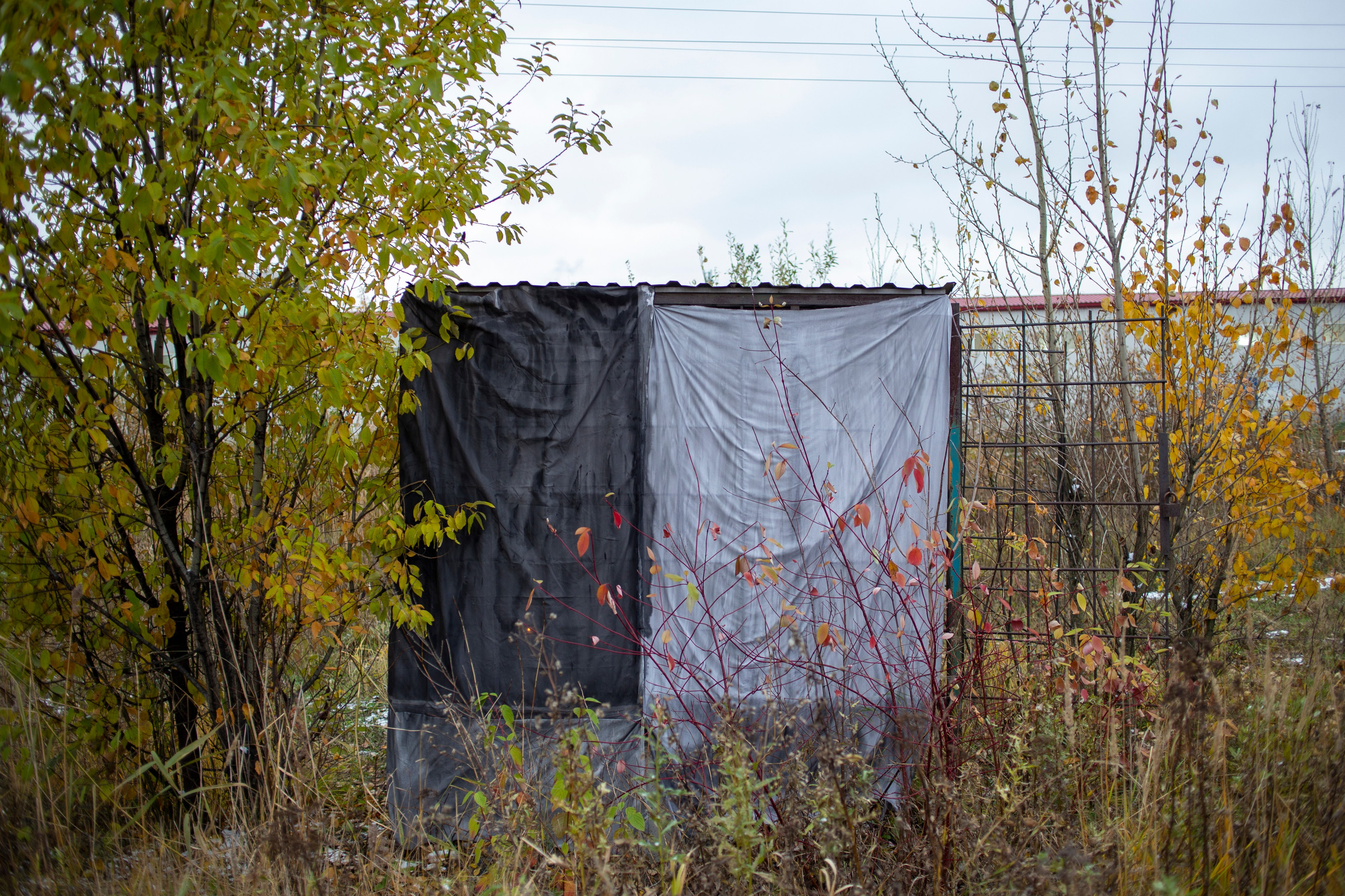 Сумерки речи. Михаил Курганов