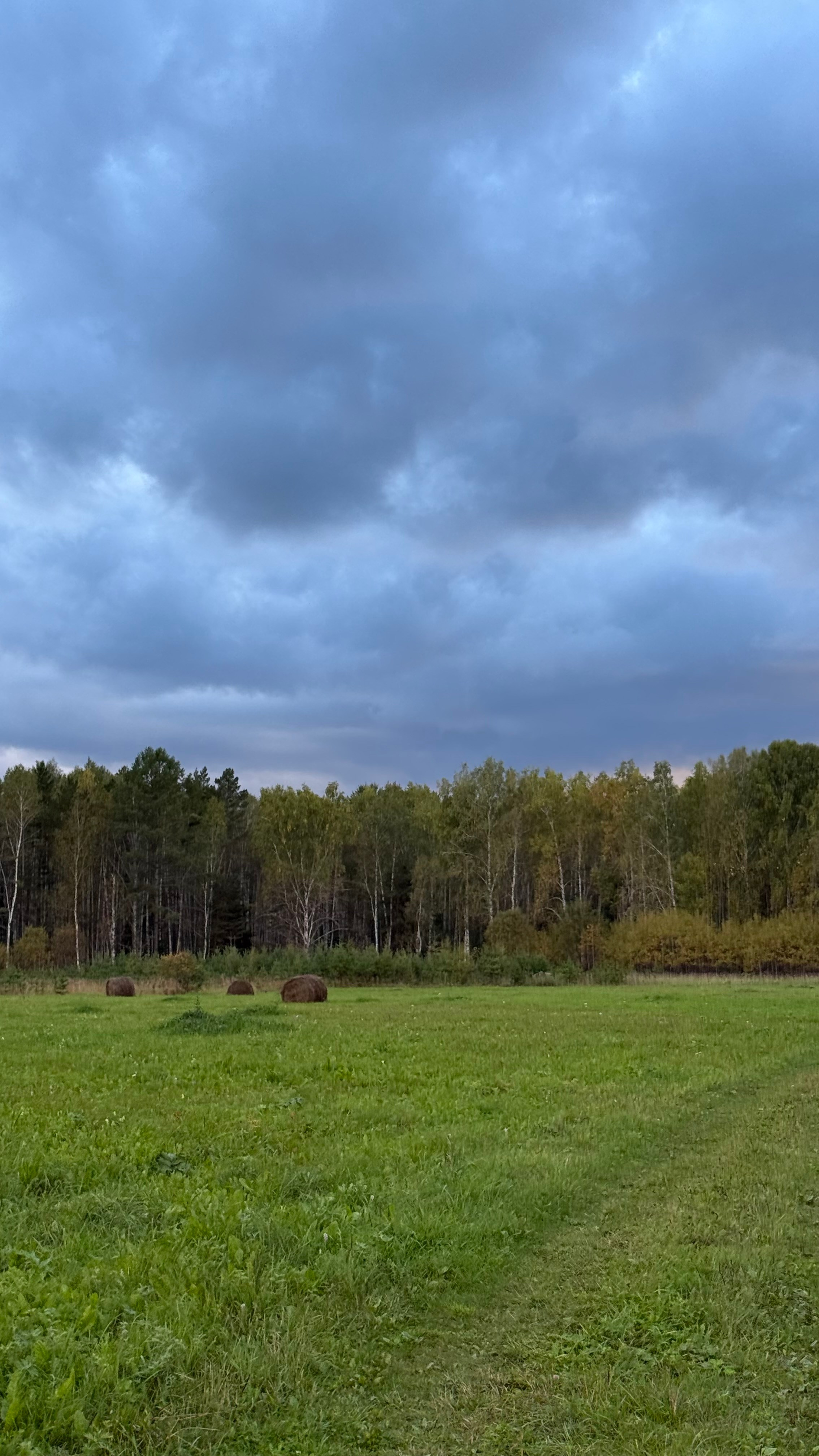 Гид от персонального стилиста: фотосессия в деревенском стиле. Екатерина Ананенко: персональный стилист из Красноярска