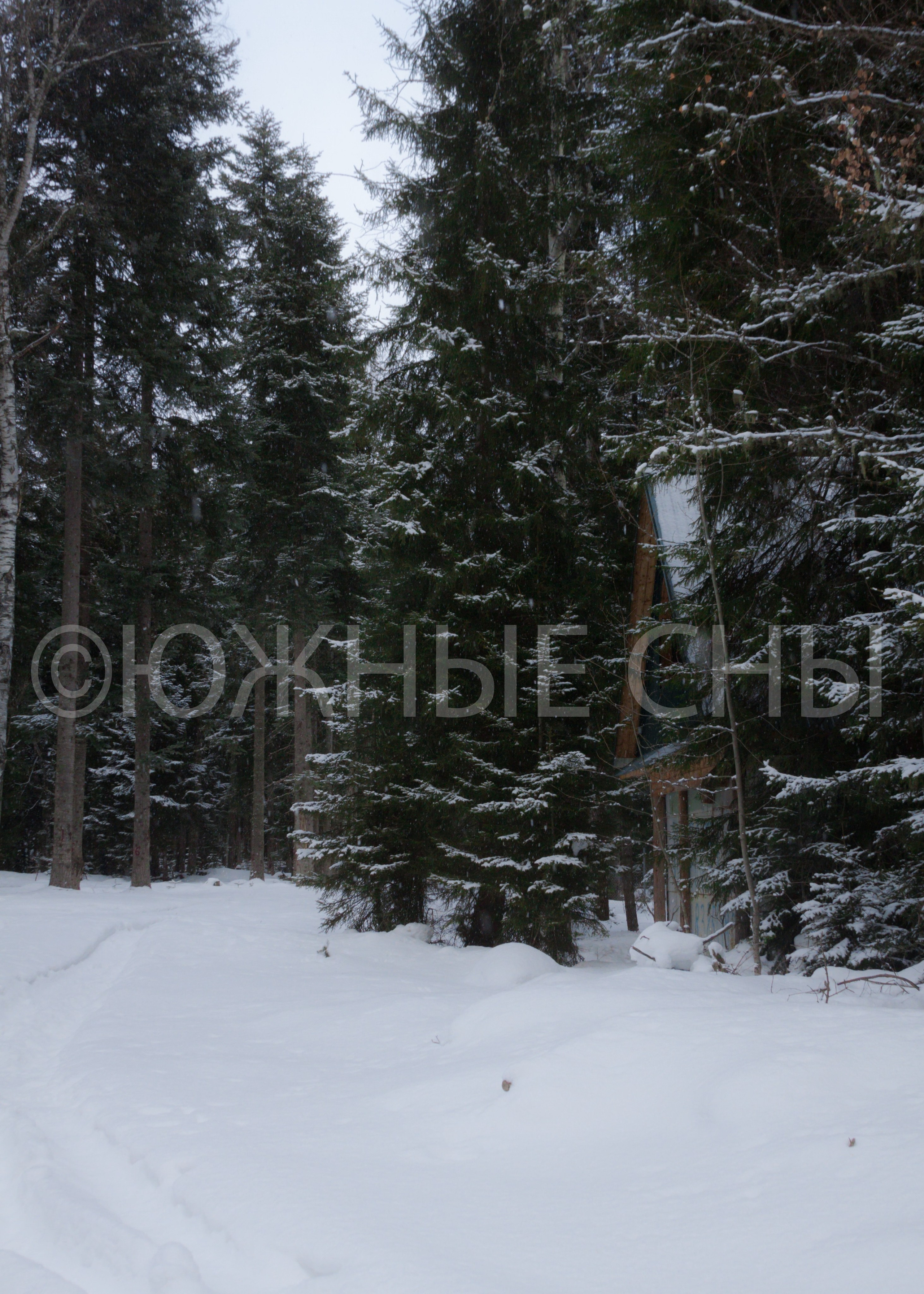 Фото зимнего Махара