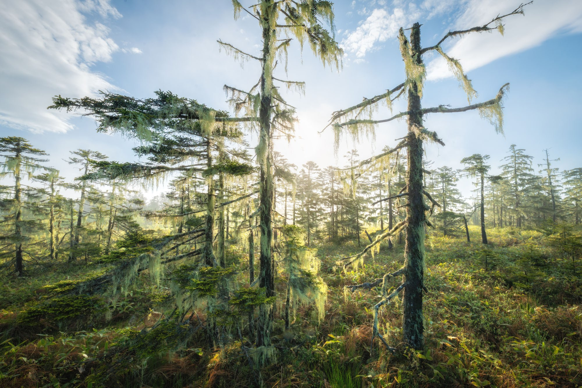 Фототур на Курилы на Кунашир и Шикотан 2027