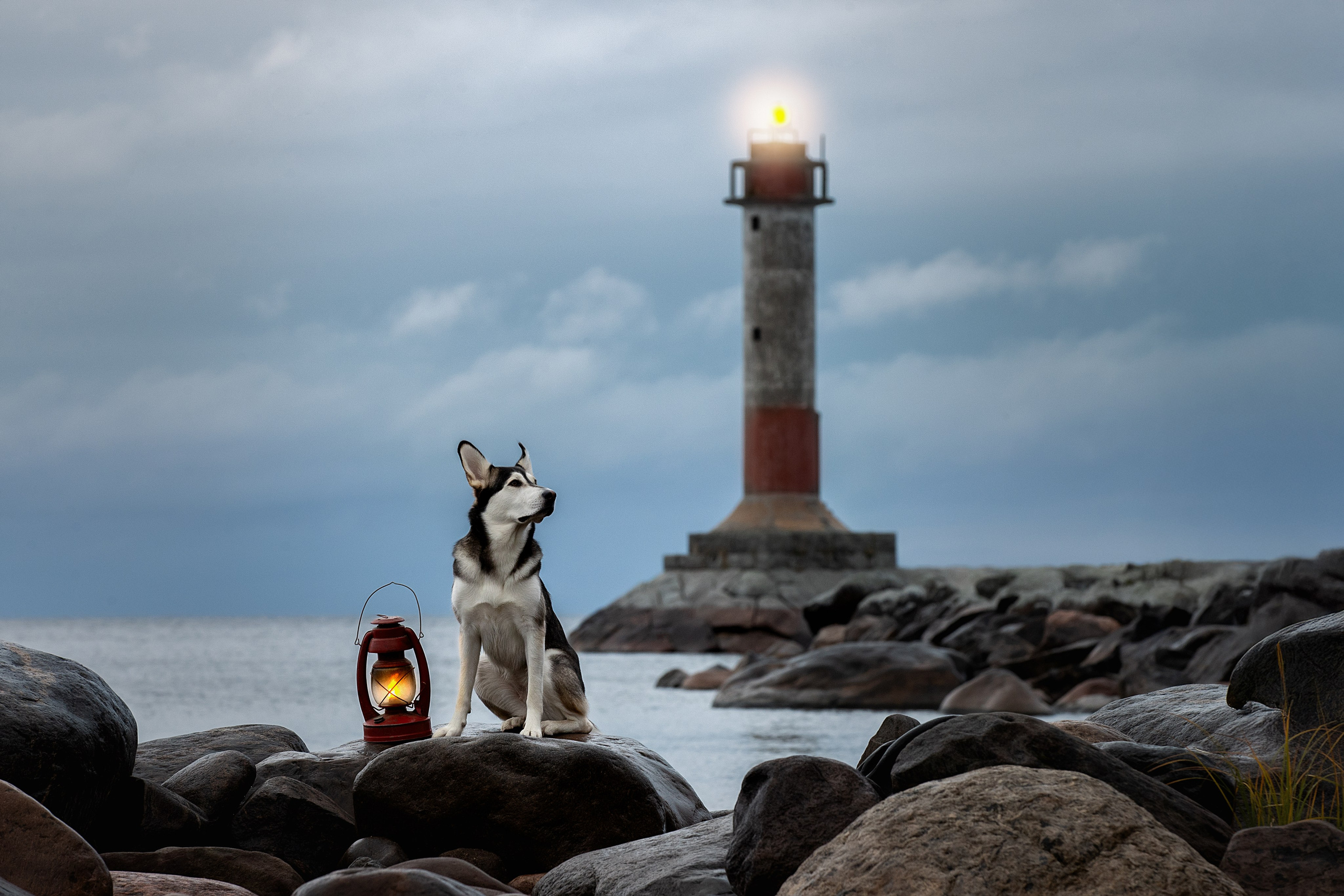 Фотограф анималист в Санкт-Петербурге Светлана Писарева