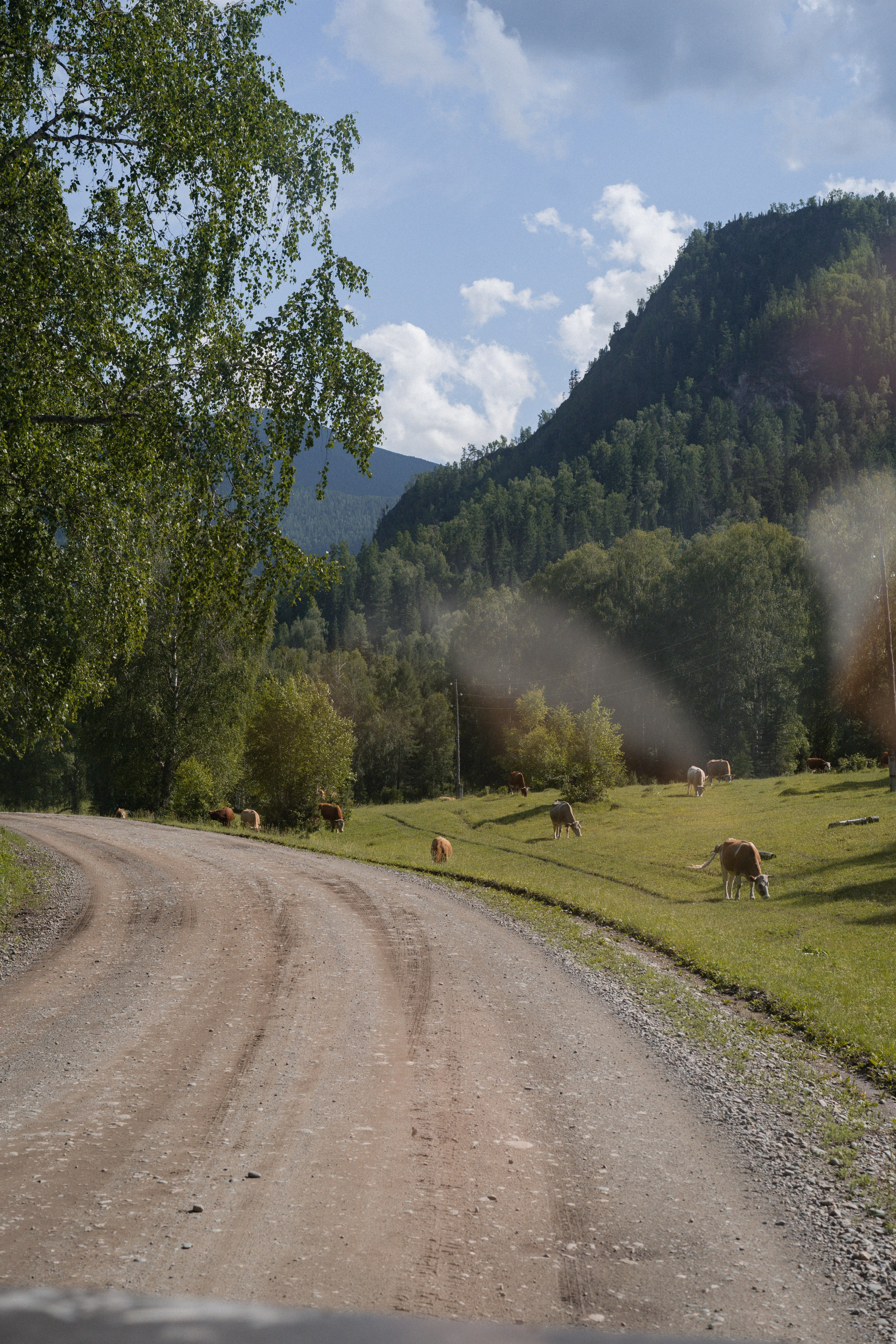 Алтай 2025. Лиза Фирстова