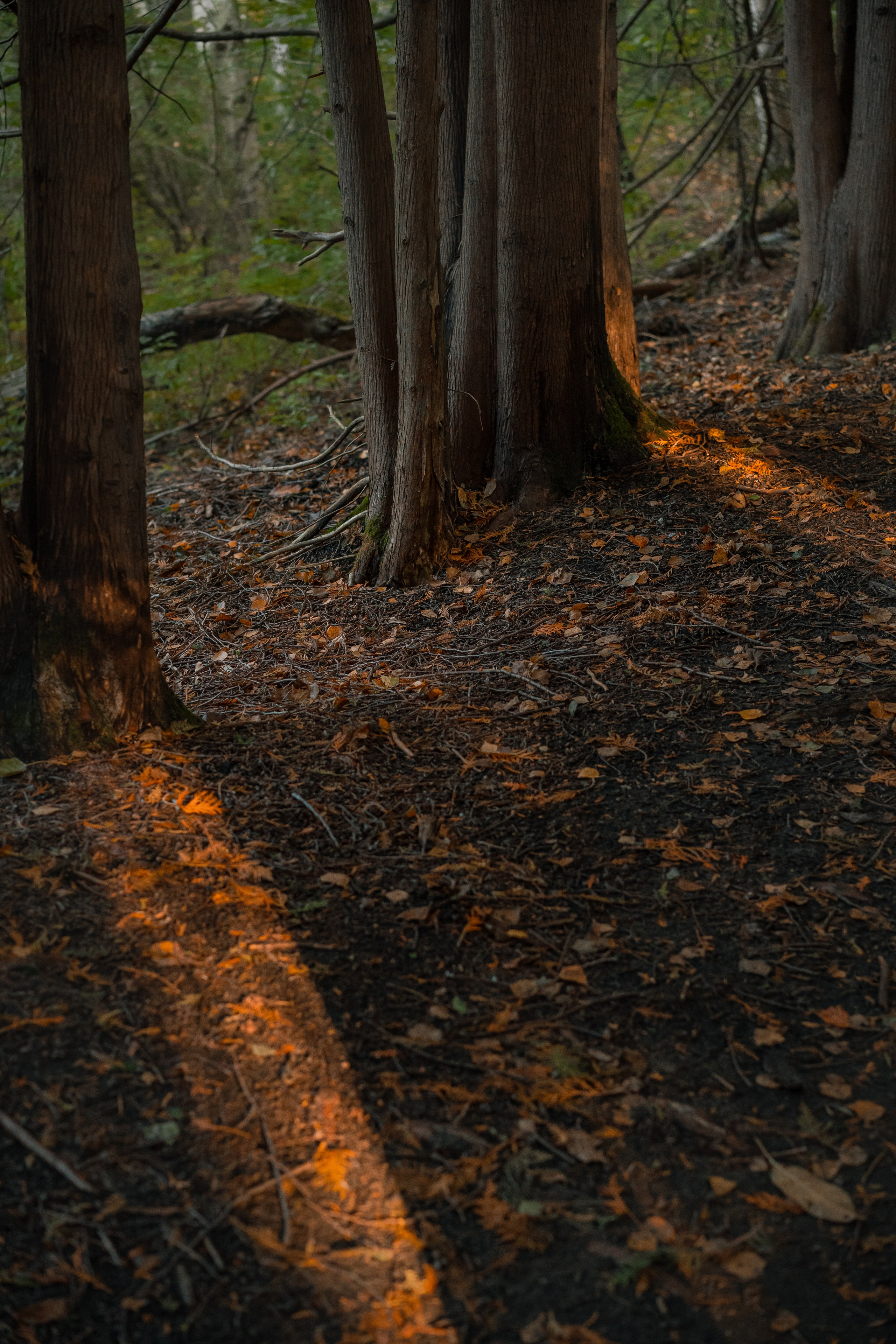 Извилистые терренкуры. Юля Дэй • Фотограф, Санкт-Петербург