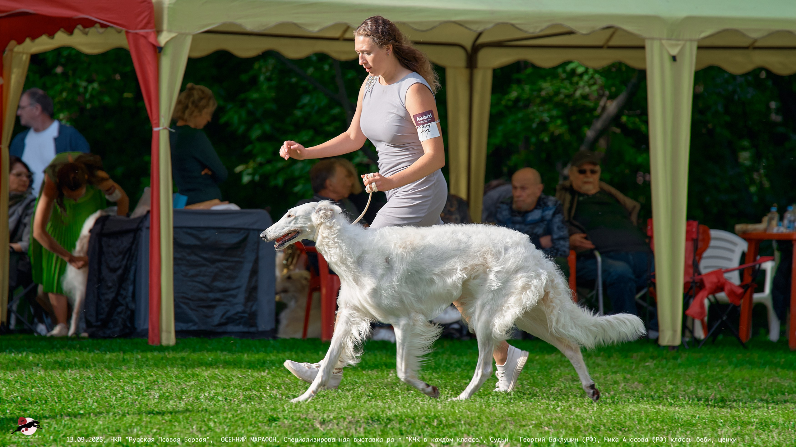 ОСЕННИЙ МАРАФОН | Специализированная выставка породы Русская Псовая Борзая ранг "КЧК в каждом классе"