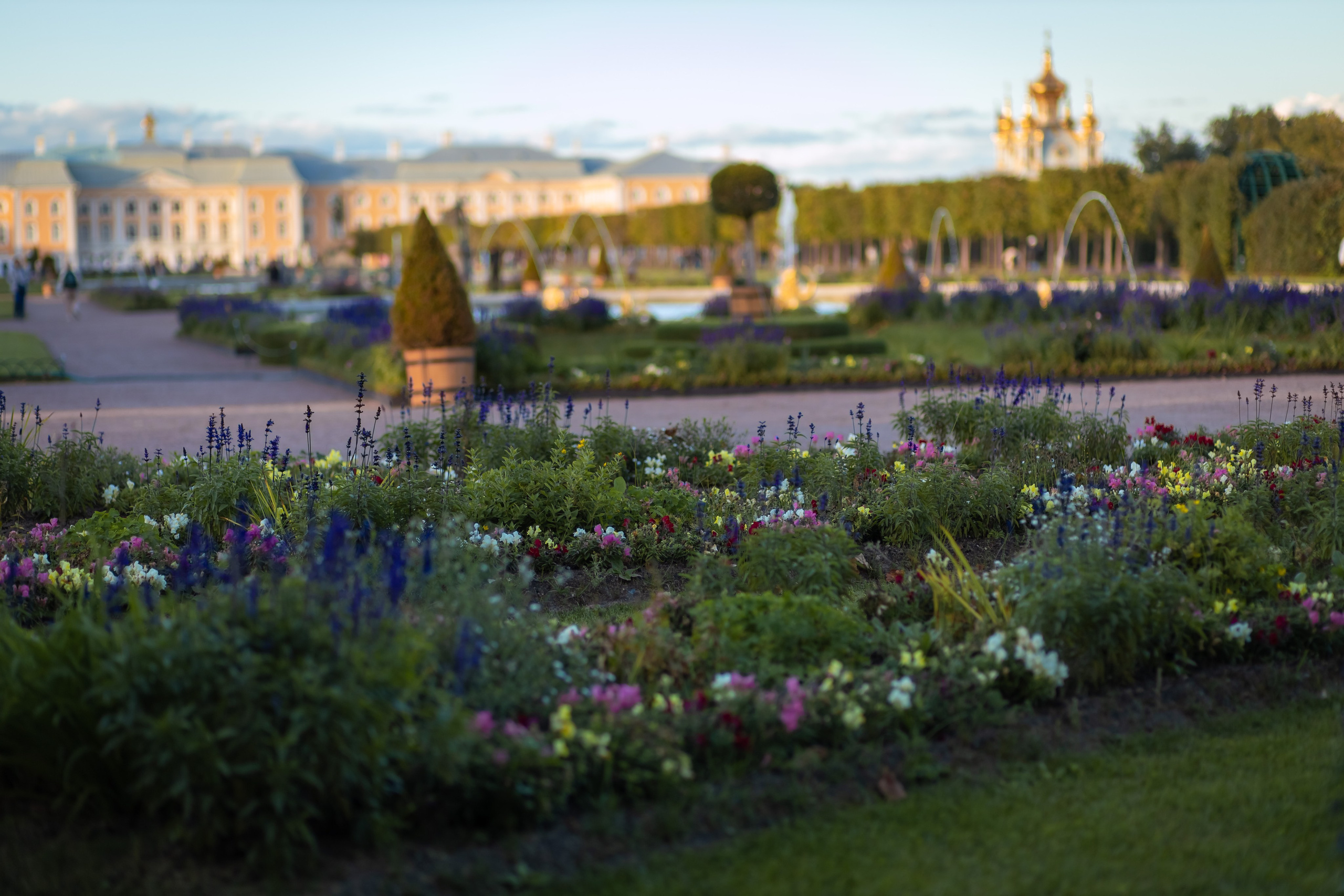 ФОТОСЕССИЯ В ПЕТЕРГОФЕ. ГДЕ СНИМАТЬ В ПЕТЕРГОФЕ