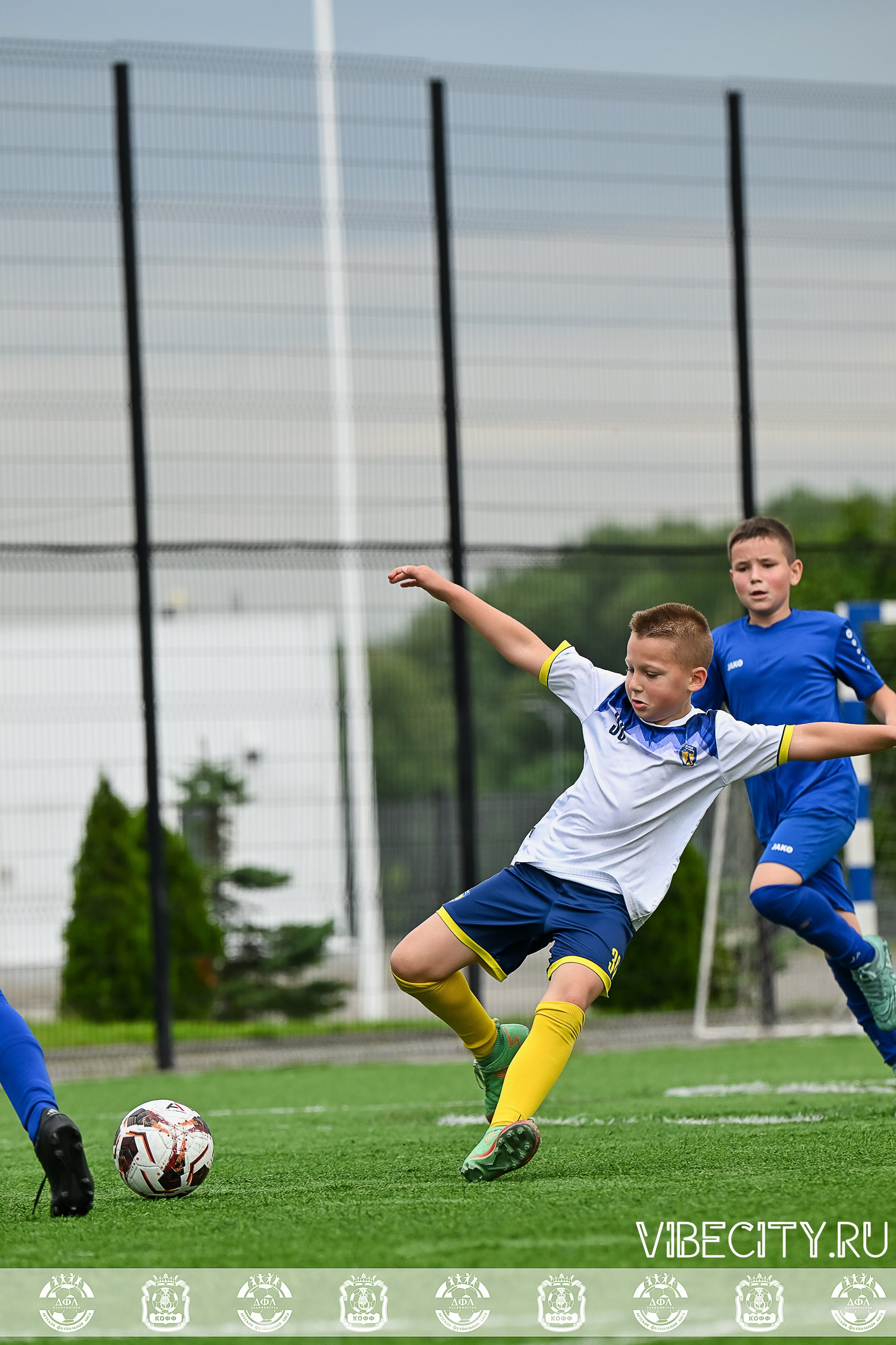 Калининградская Детская Футбольная Лига. VIBECITY.RU Вайб Сити Ру Фоторепортажи Фотоотчеты Калининград