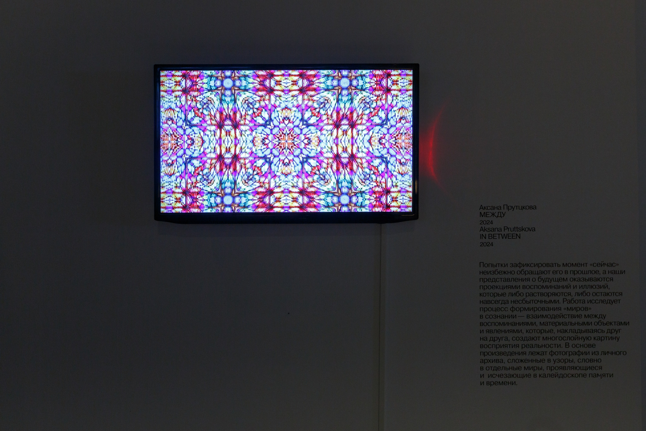 Olga Mikhalchuk became the curator. Olga Mikhalchuk, visual artist