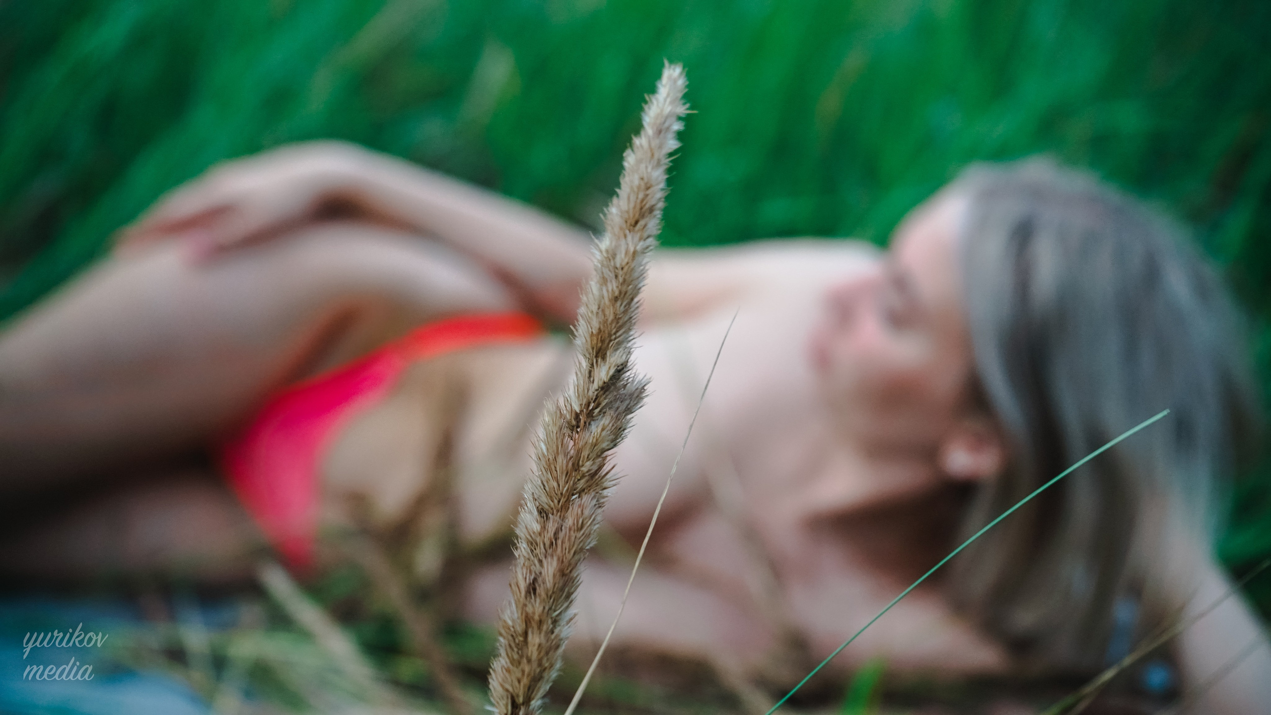 Freedom from the fields. Фотограф, видеограф в Новомосковске YURIKOV-MEDIA