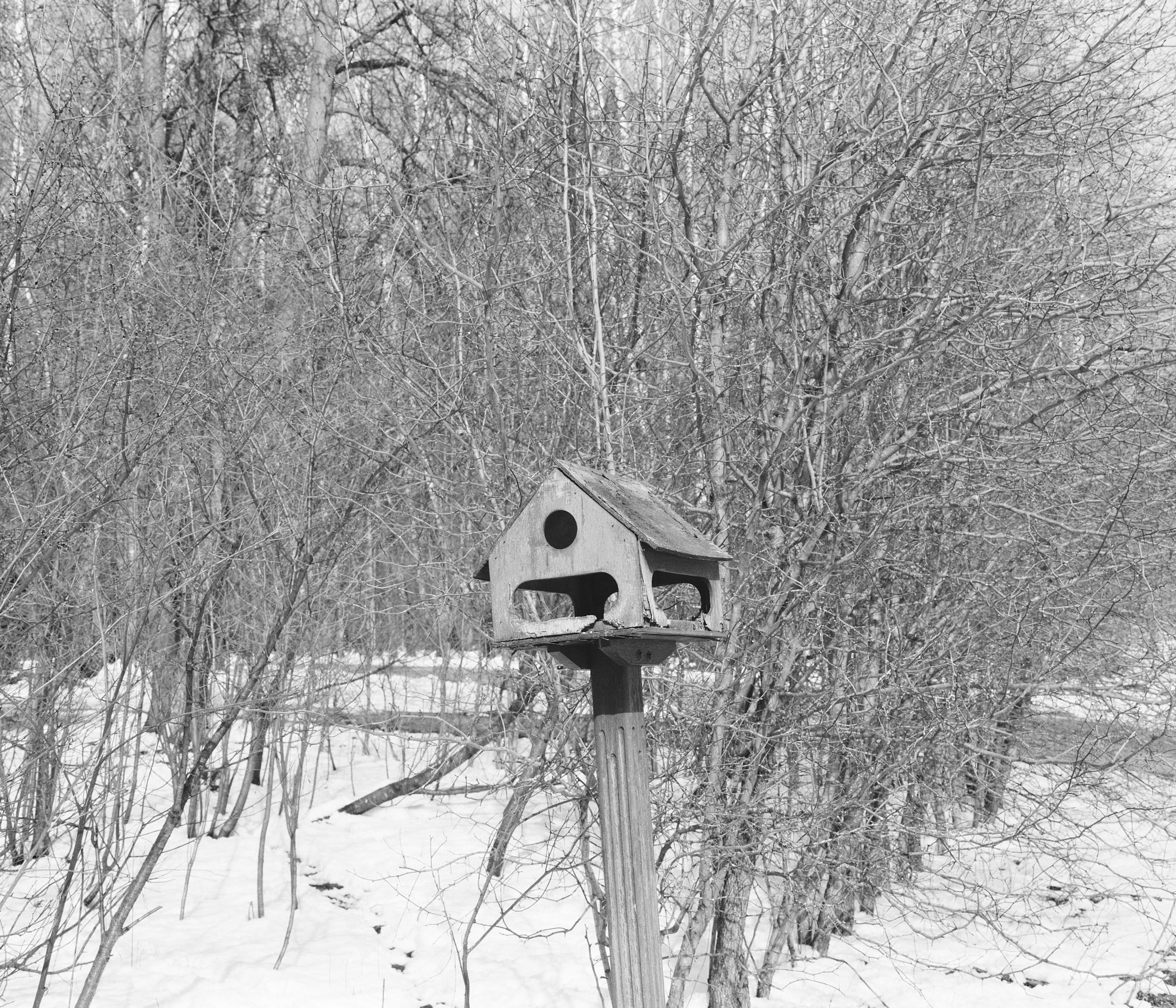 Пьюти-фьют. Игорь Скабелин
