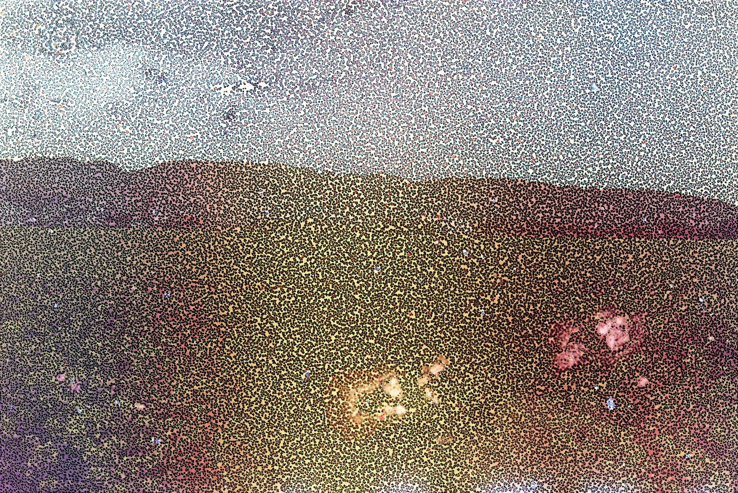 Соль (в работе). Пылина Ирина — современная фотография