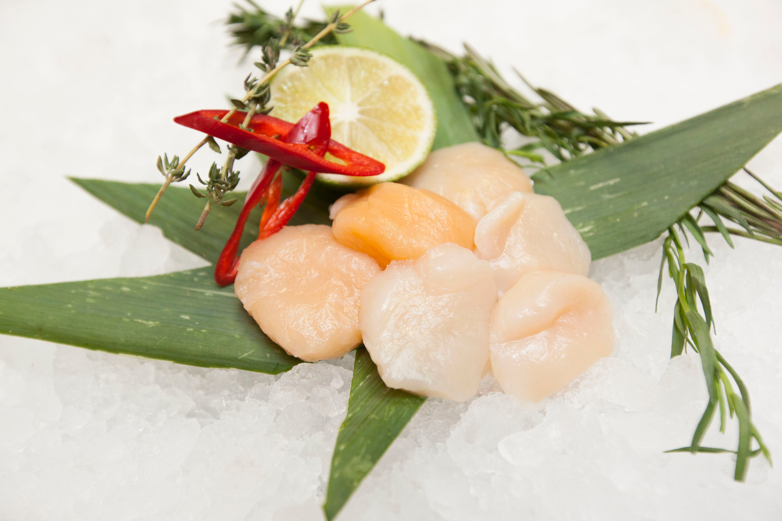 Тоговый дом Черноморья. Stanislav Baryshev — People. Emotions. Atmosphere