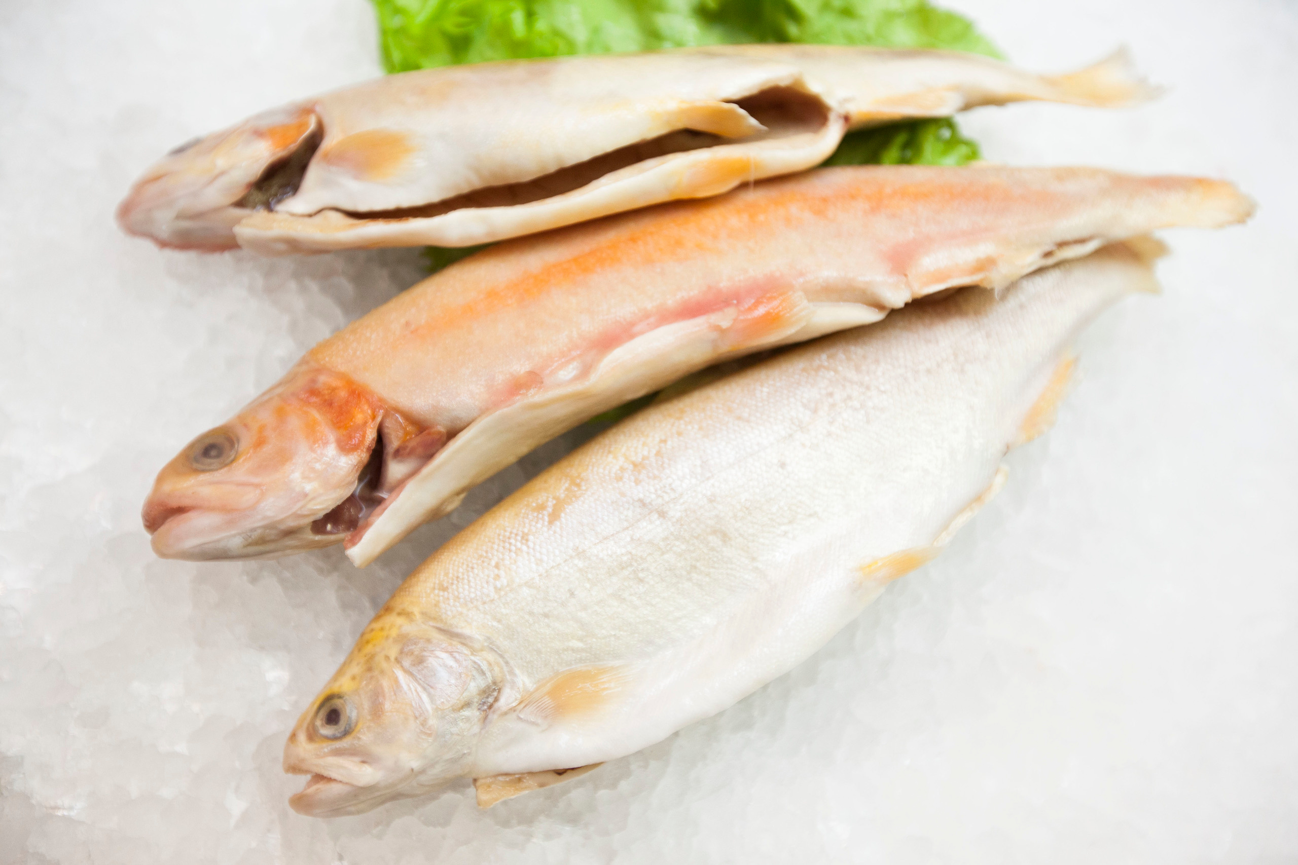 Тоговый дом Черноморья. Stanislav Baryshev — People. Emotions. Atmosphere