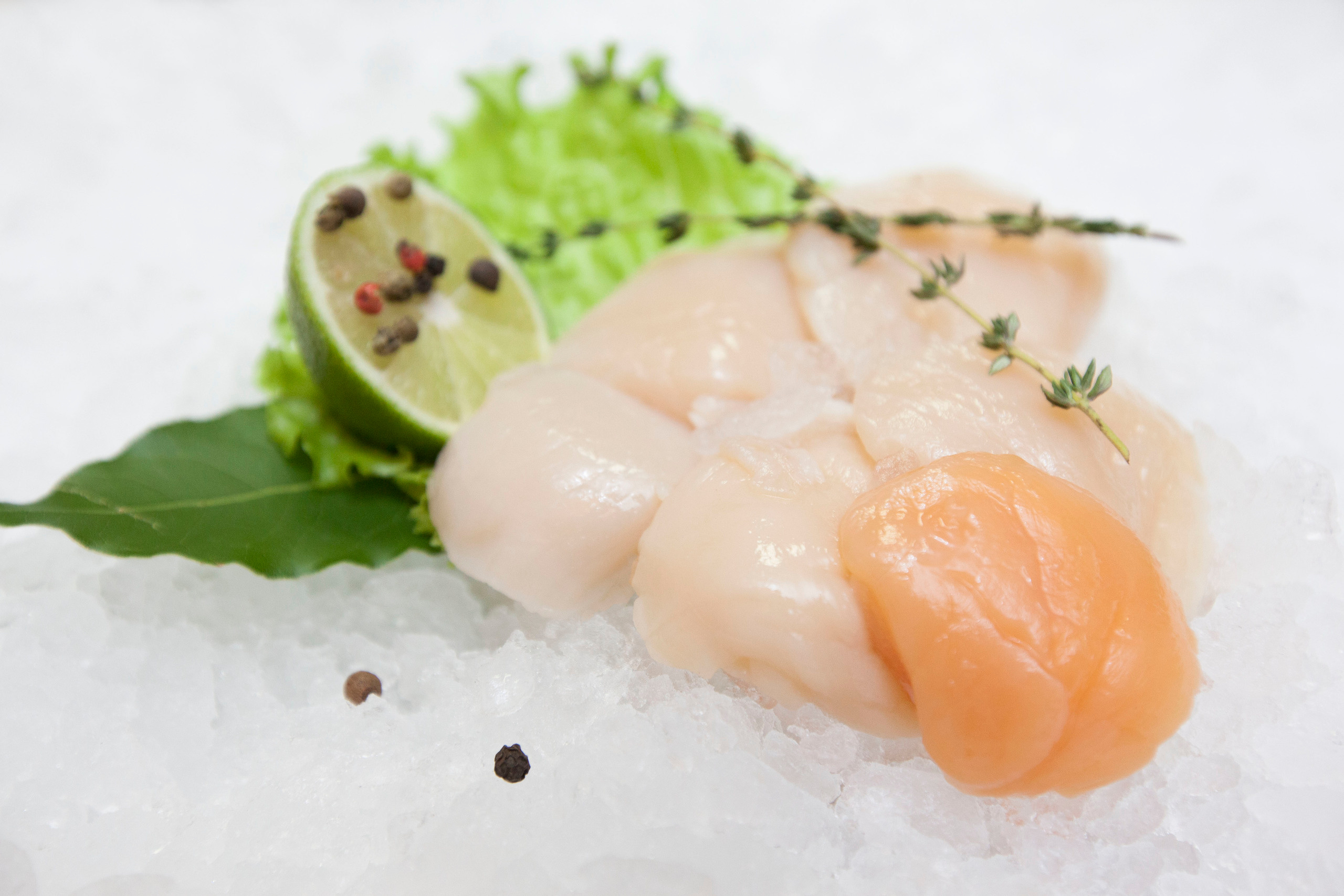 Тоговый дом Черноморья. Stanislav Baryshev — People. Emotions. Atmosphere