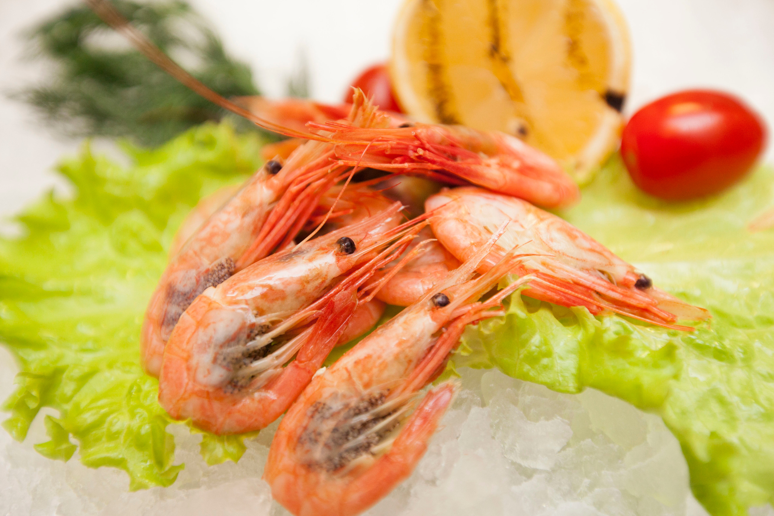 Тоговый дом Черноморья. Stanislav Baryshev — People. Emotions. Atmosphere