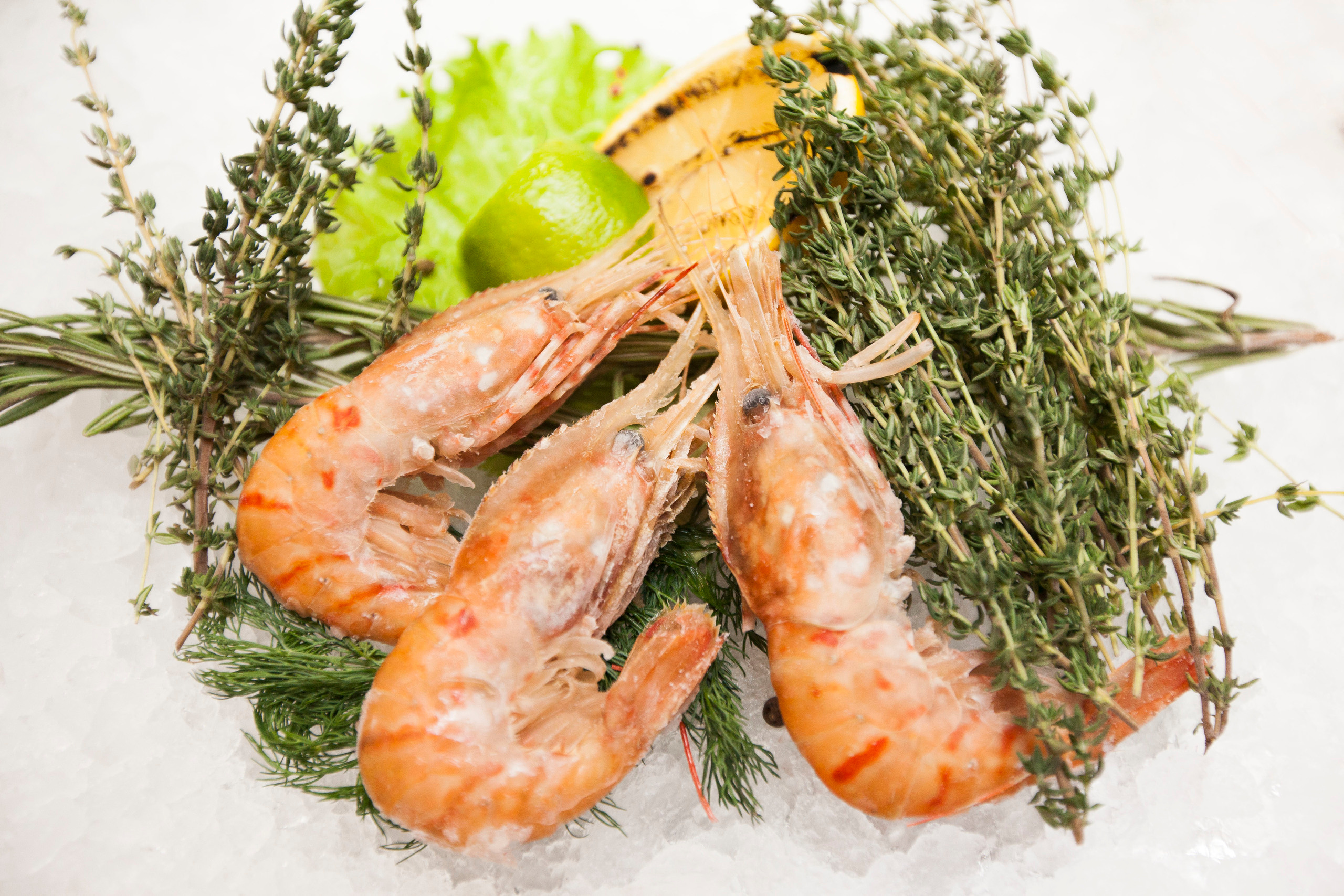 Тоговый дом Черноморья. Stanislav Baryshev — People. Emotions. Atmosphere