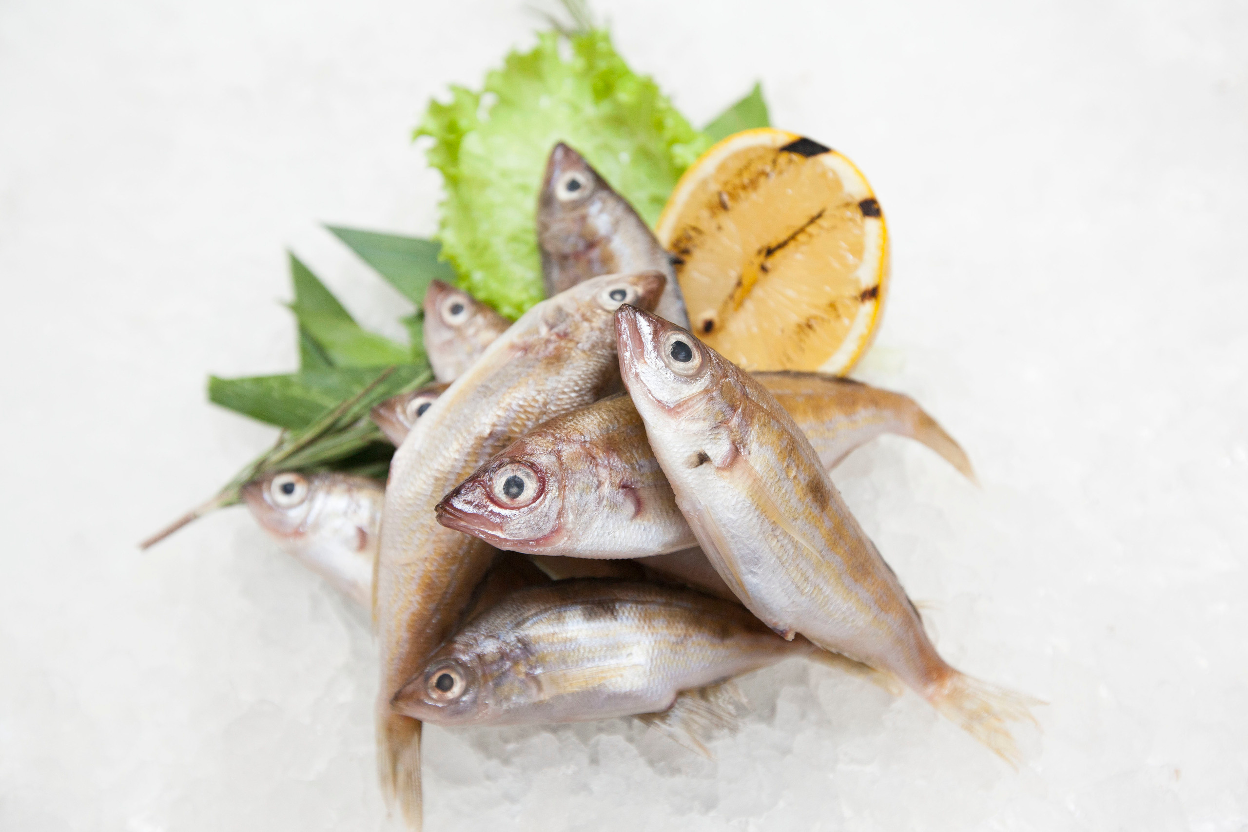 Тоговый дом Черноморья. Stanislav Baryshev — People. Emotions. Atmosphere