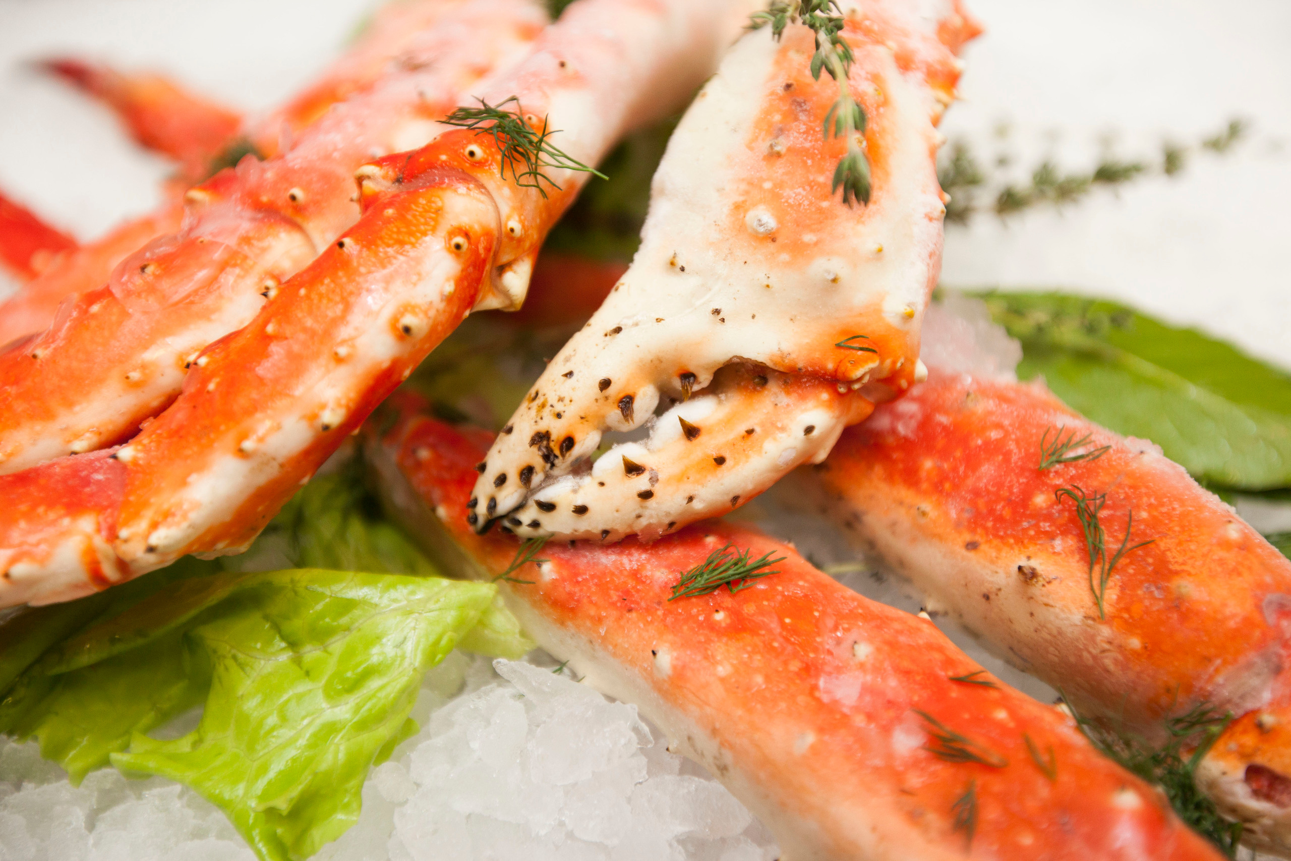 Тоговый дом Черноморья. Stanislav Baryshev — People. Emotions. Atmosphere