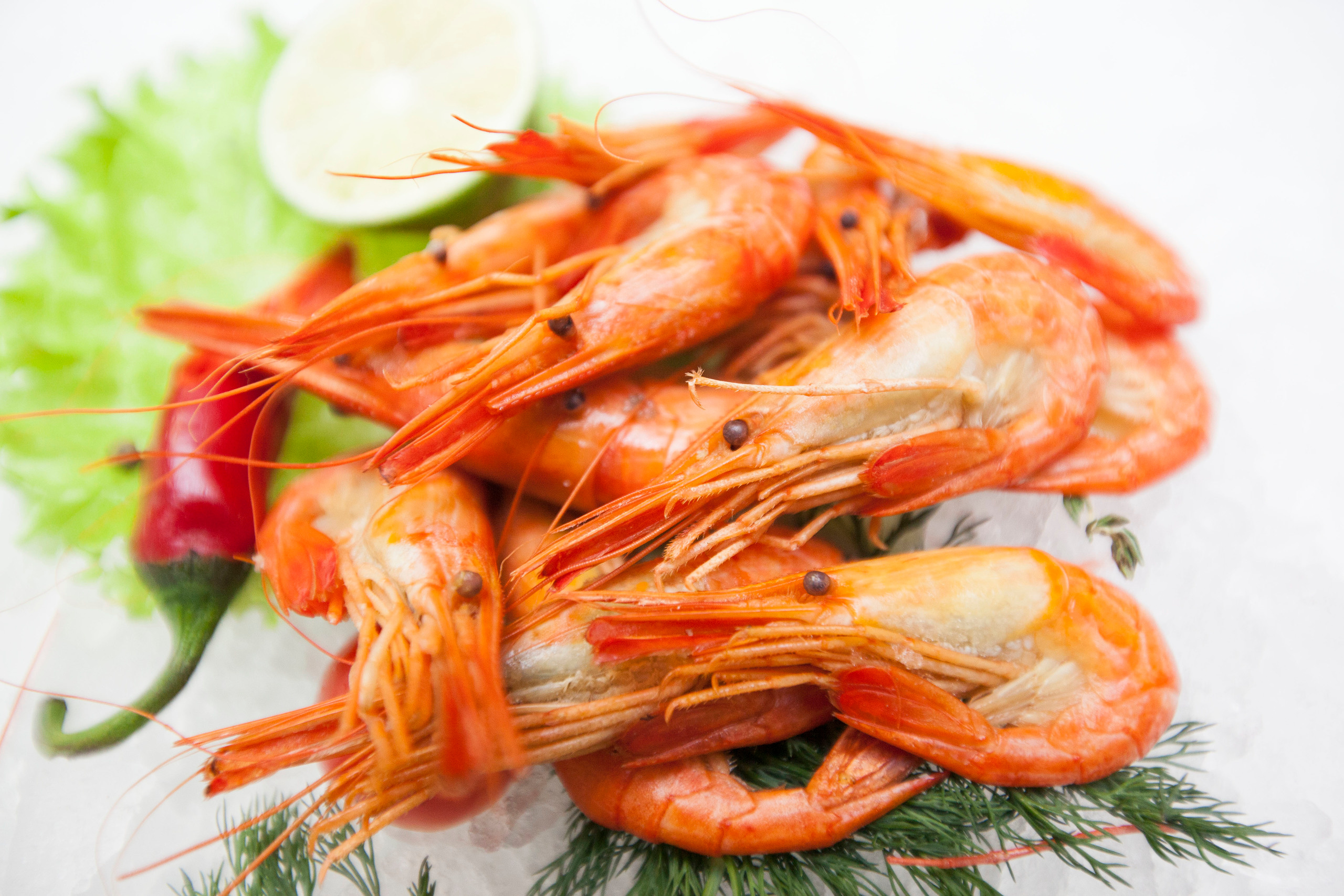 Тоговый дом Черноморья. Stanislav Baryshev — People. Emotions. Atmosphere