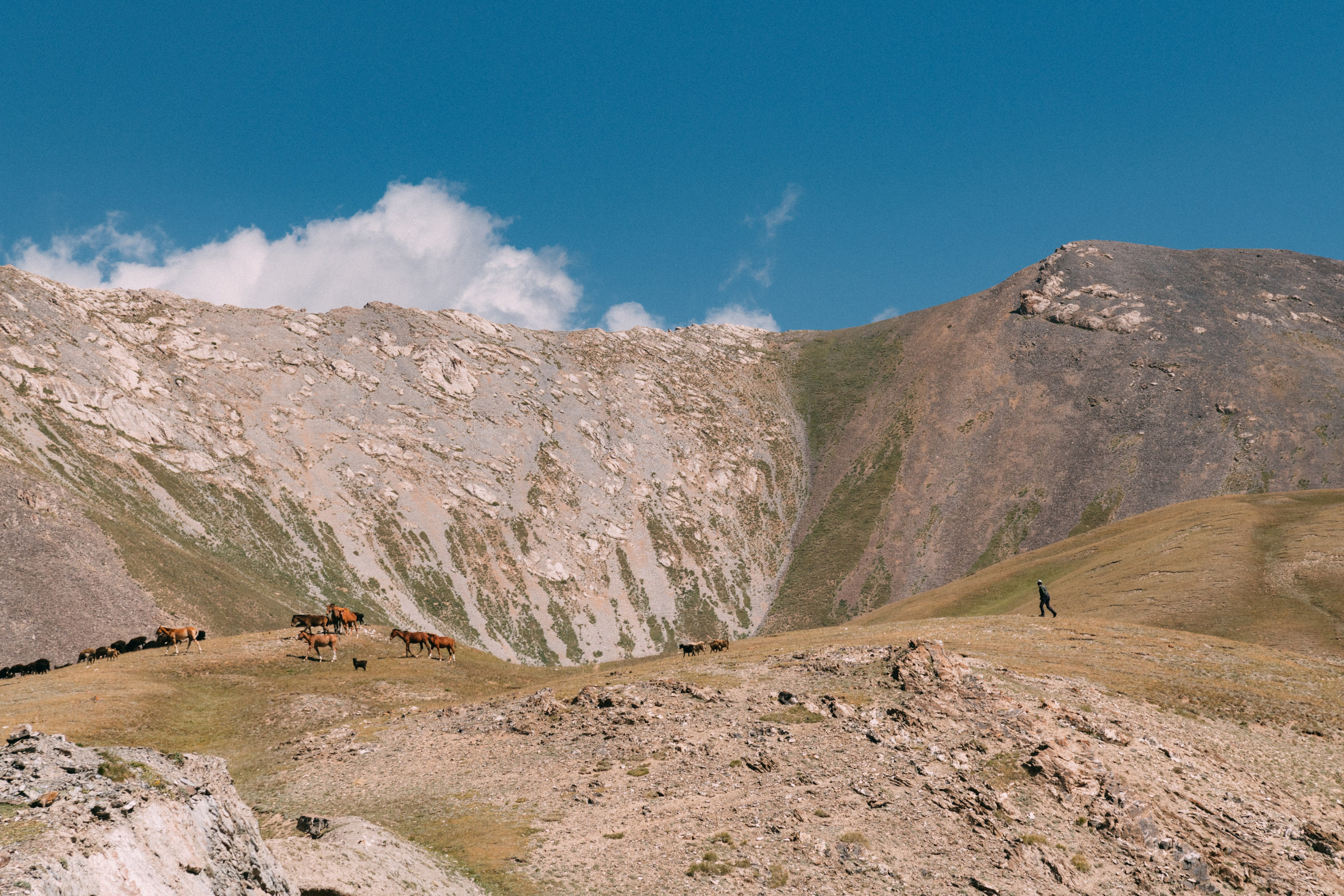 Средняя Азия подборка. Роман Свободный — интерьерная и архитектурная съёмка, Москва и МО