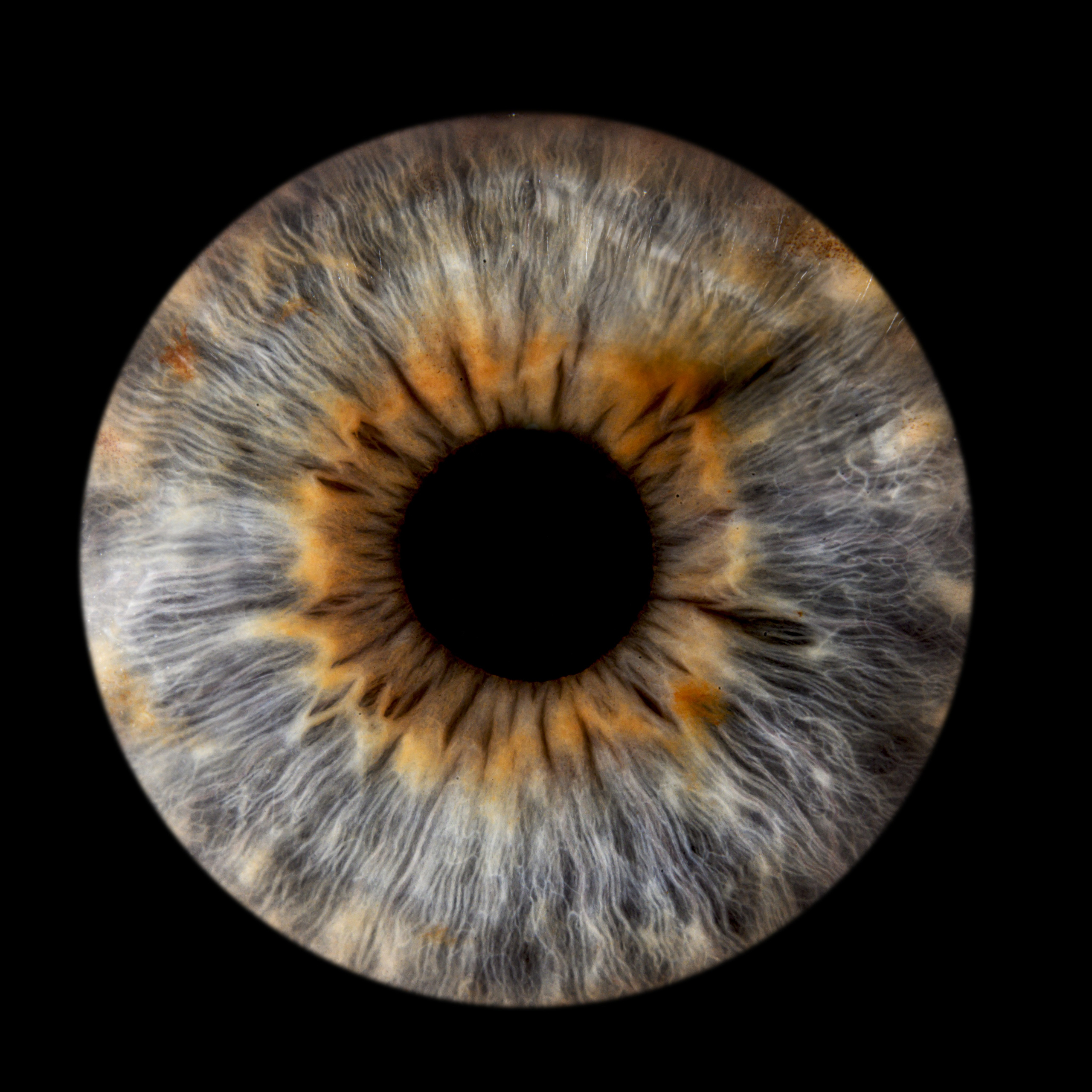 Лучшая фотография радужки глаза в Ростове. Профессиональная фотосъемка. Ростов-на-Дону