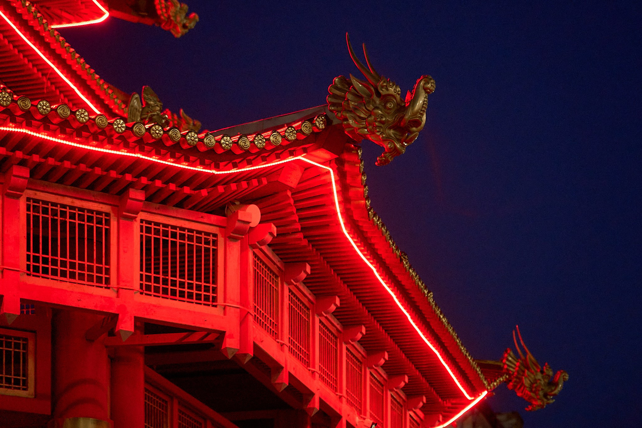 Элиста 08.2024. Петр Ступень. Свадебное, семейное фото и видео. Москва. Краснодар