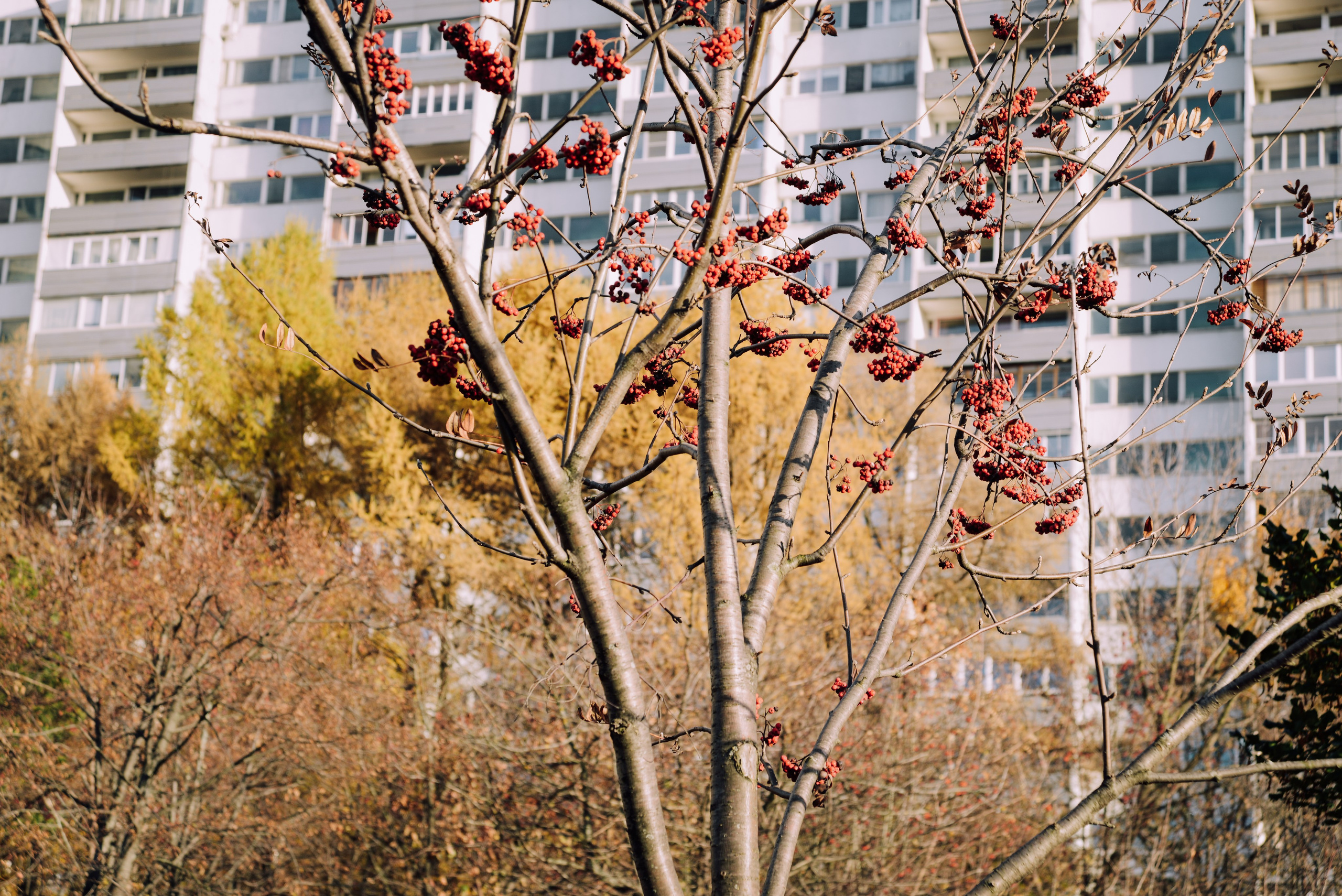 Октябрь в объективе: фотографии осеннего сезона