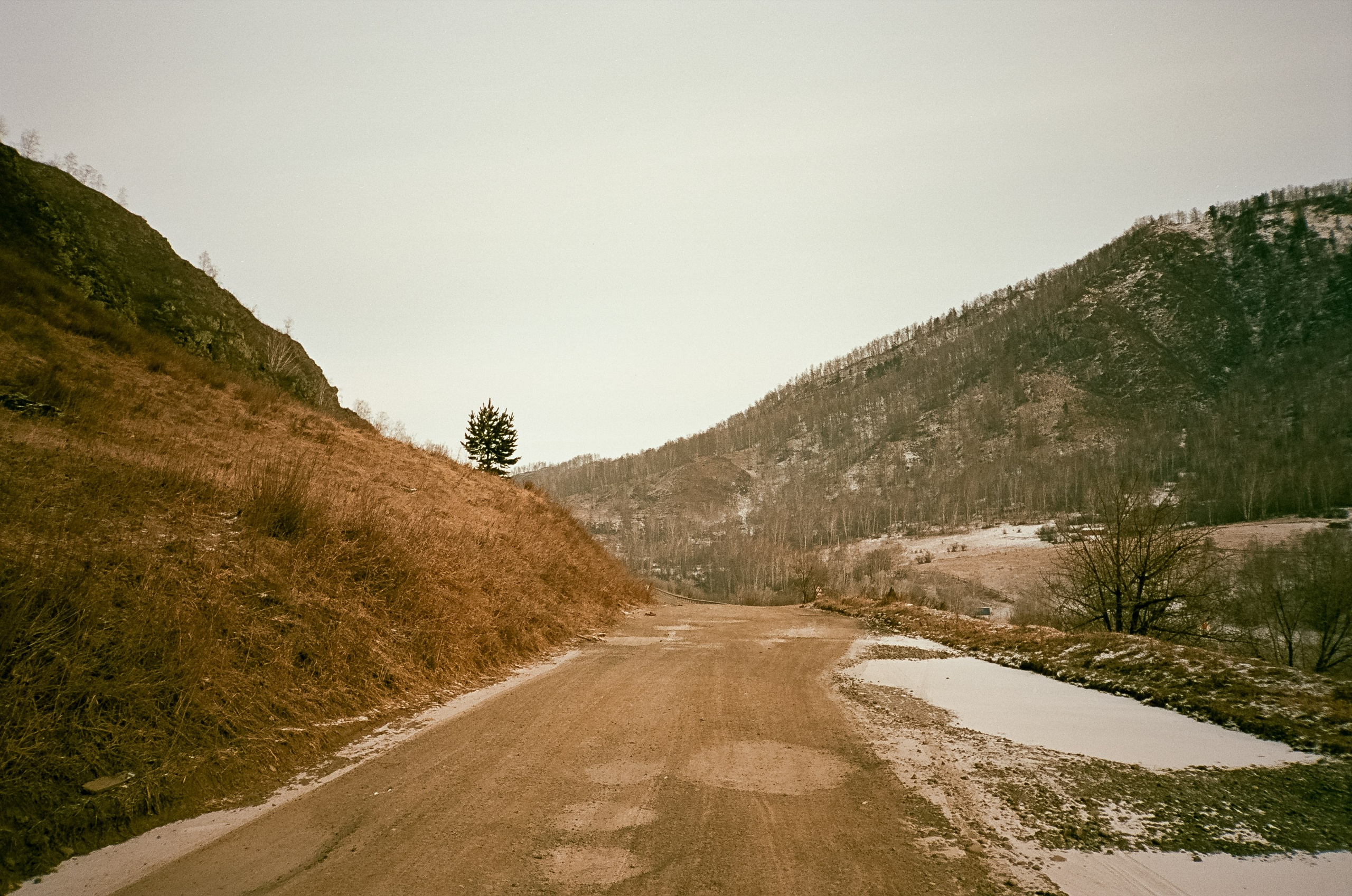 Семинский перевал / 19 декабря 2023 года (-18℃) / Kodak Aerocolor IV