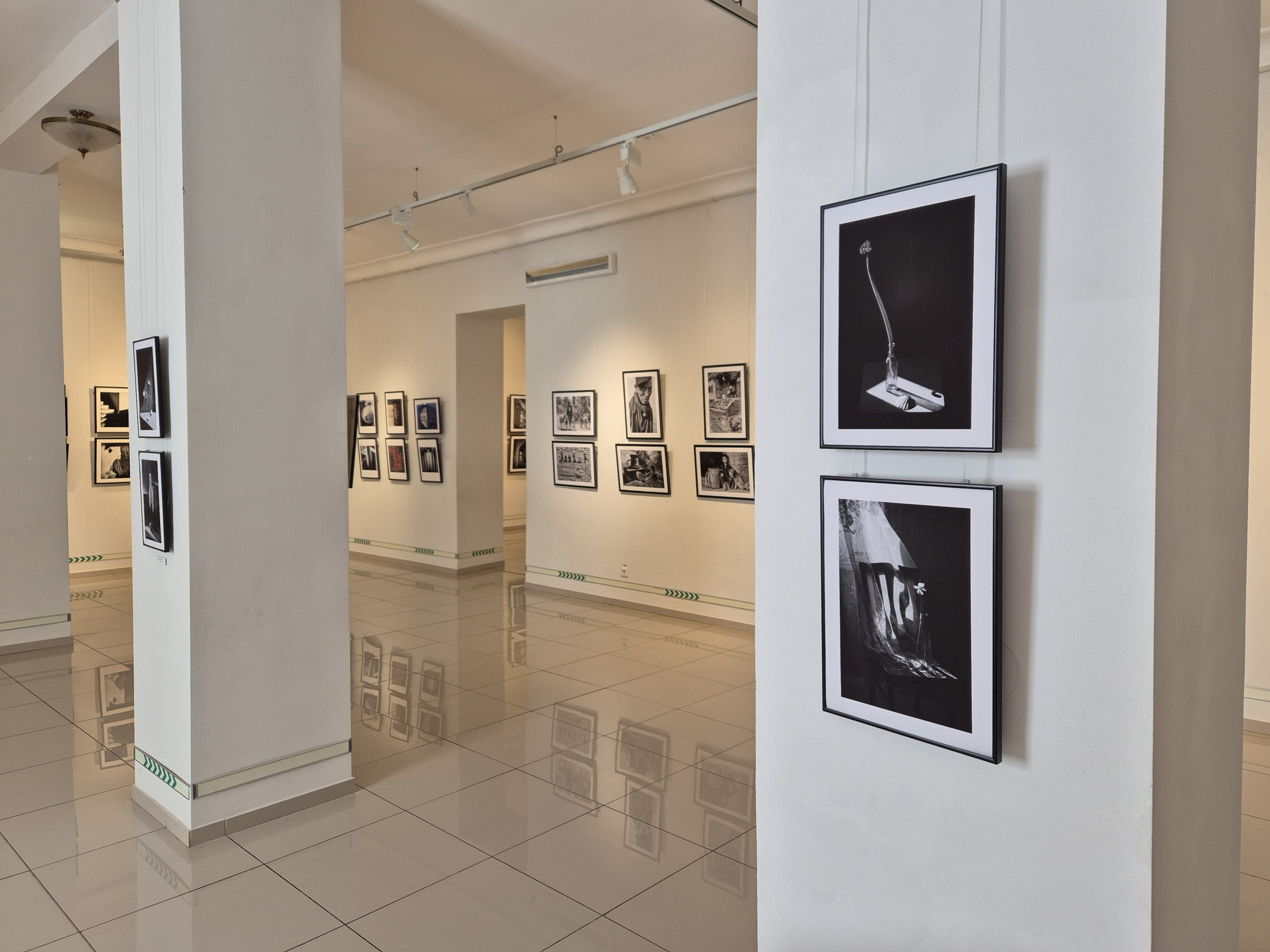 Открытие юбилейной выставки союза фотохудожников. Фотограф Елена Хазина, Рязань