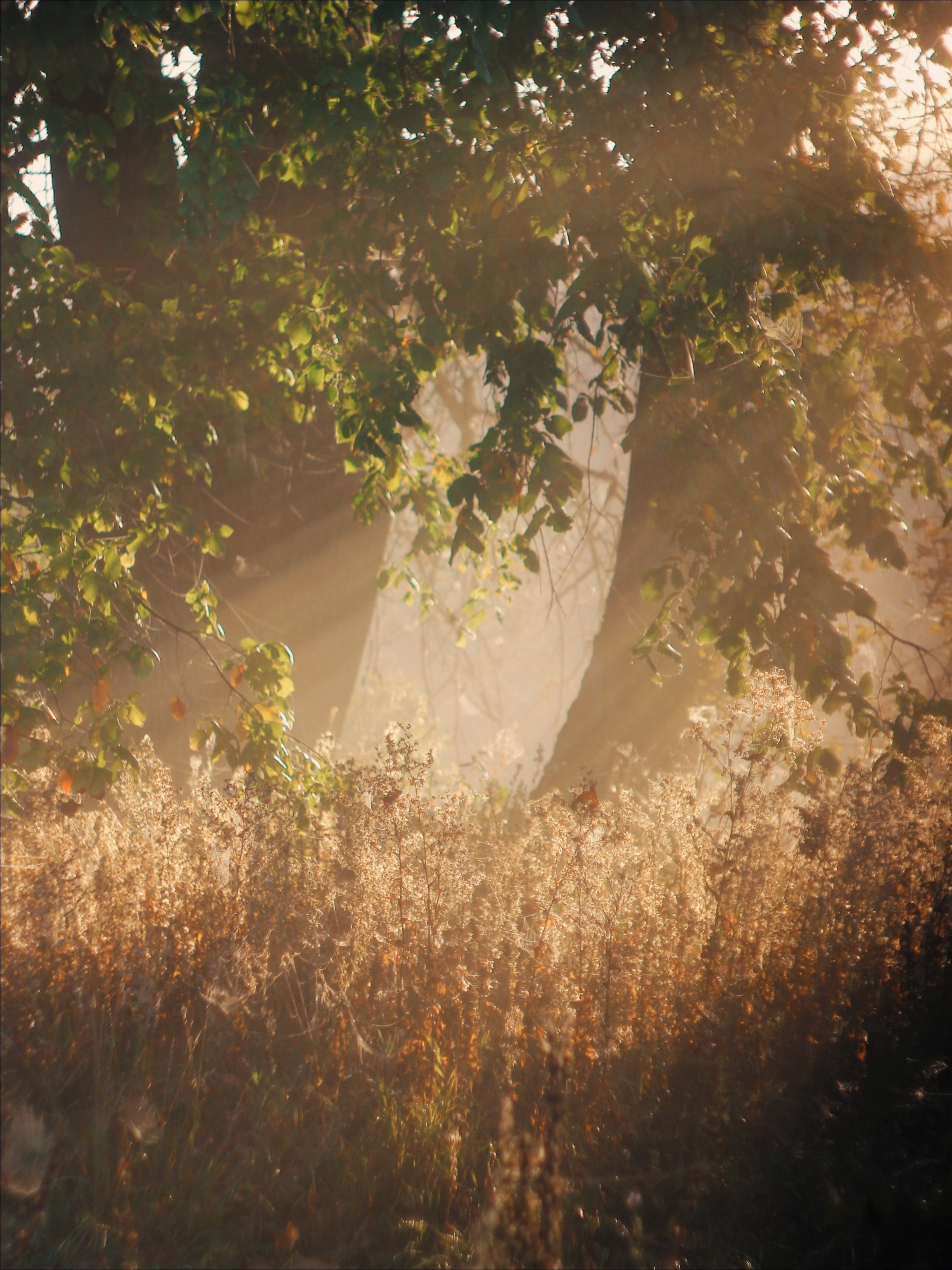 Опустошенность. С любовью, фотохудожник