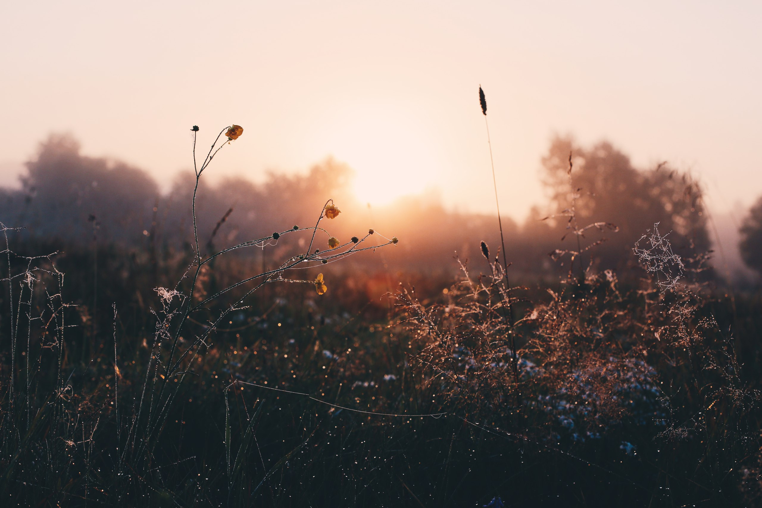 Фотограф в Санкт-Петербурге